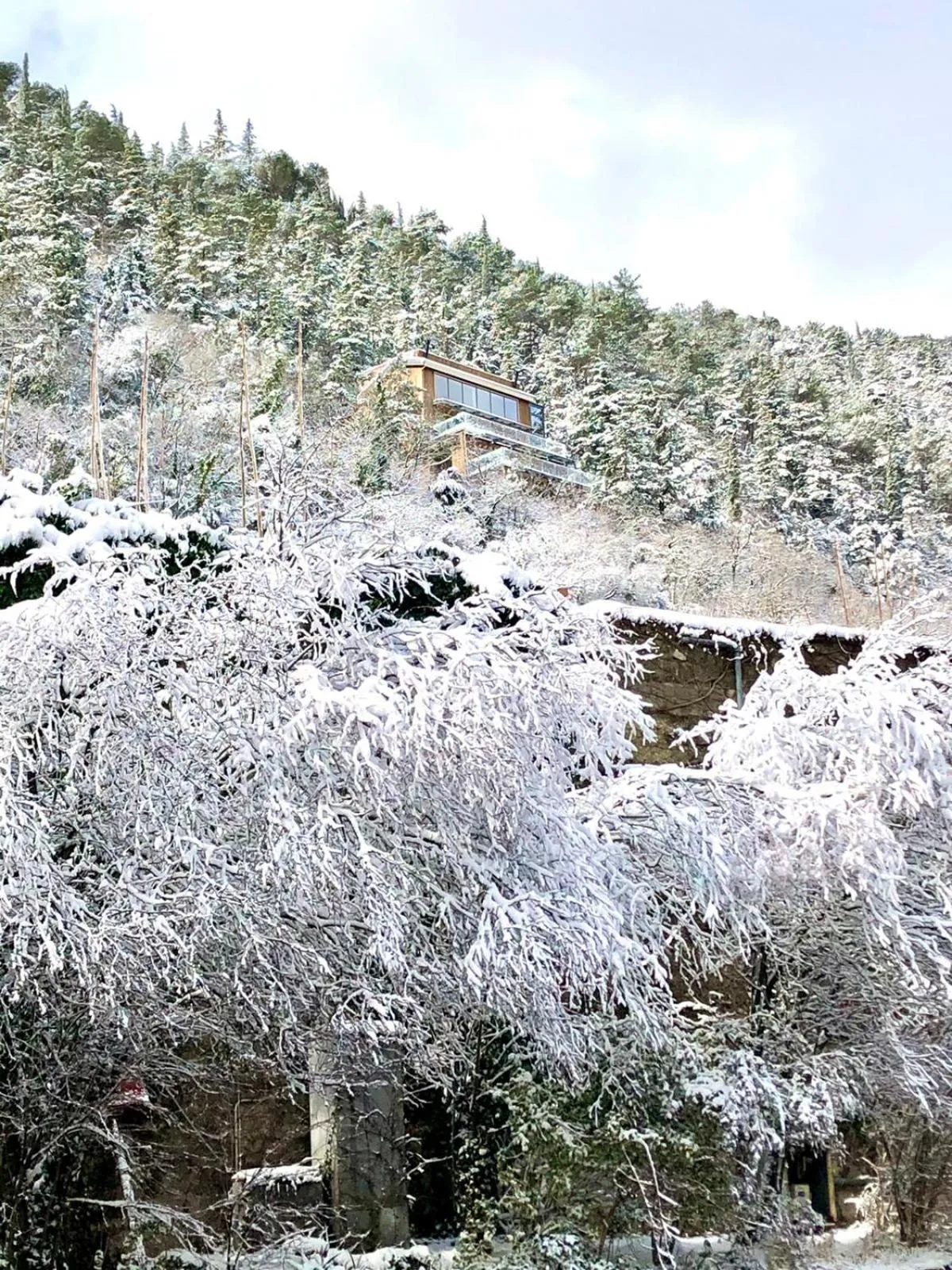 Winter in La Forestale Luxury Ecolodge B&B Primo Piano