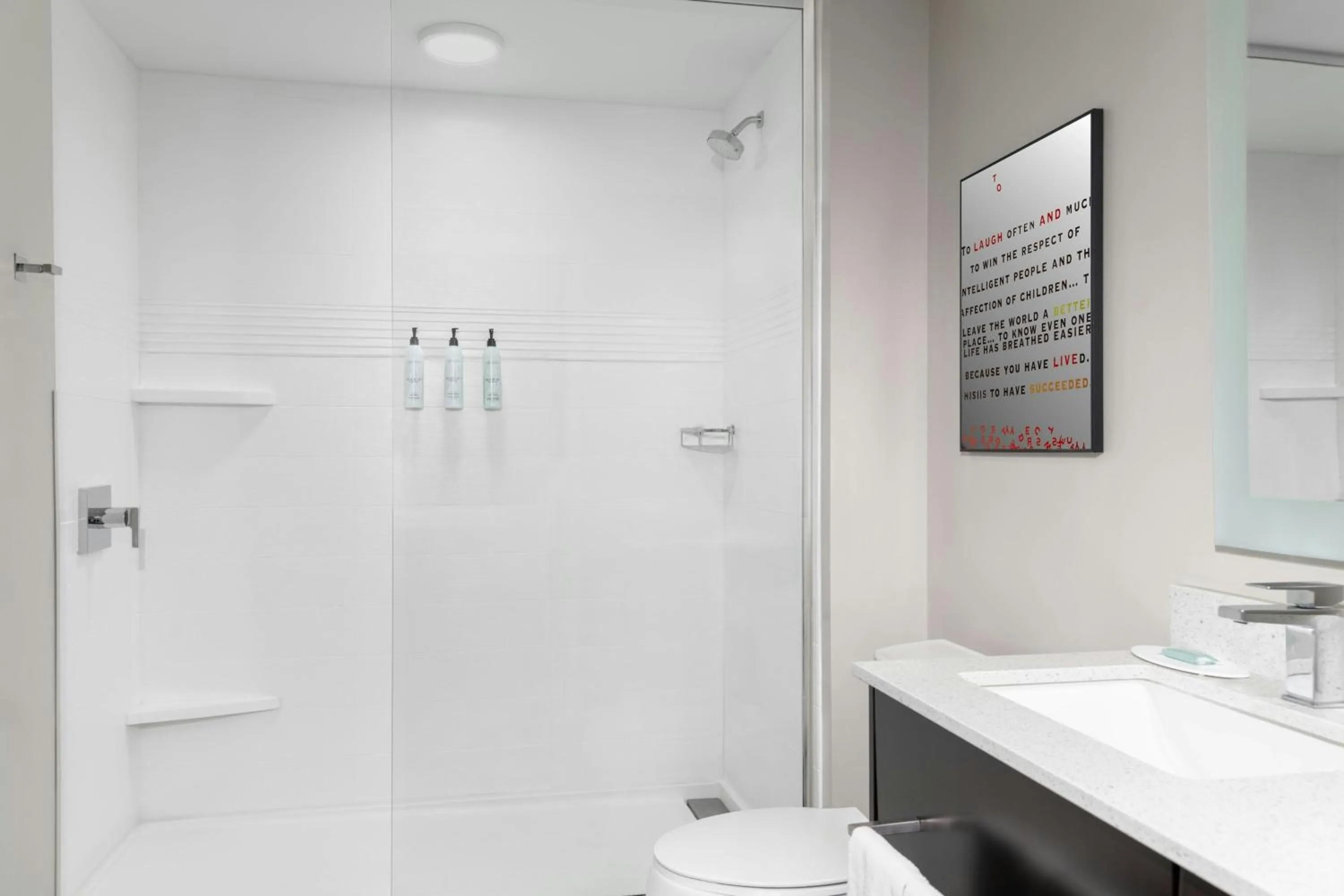 Bathroom in TownePlace Suites by Marriott Detroit Allen Park