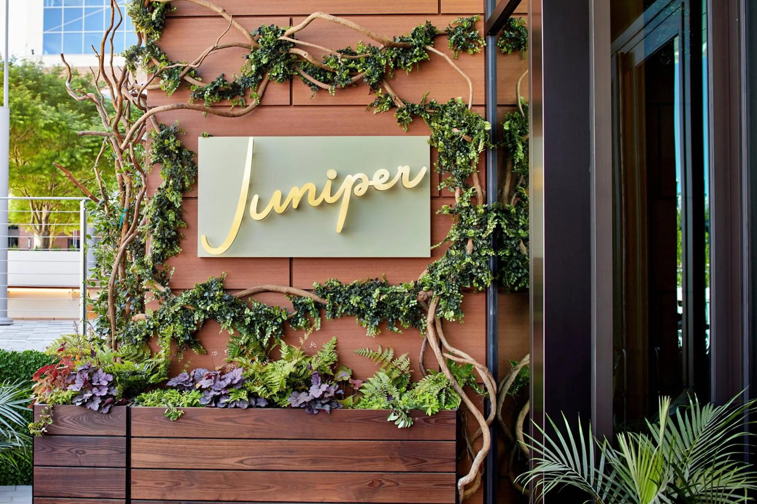 Restaurant/places to eat in AC Hotel by Marriott Greenville