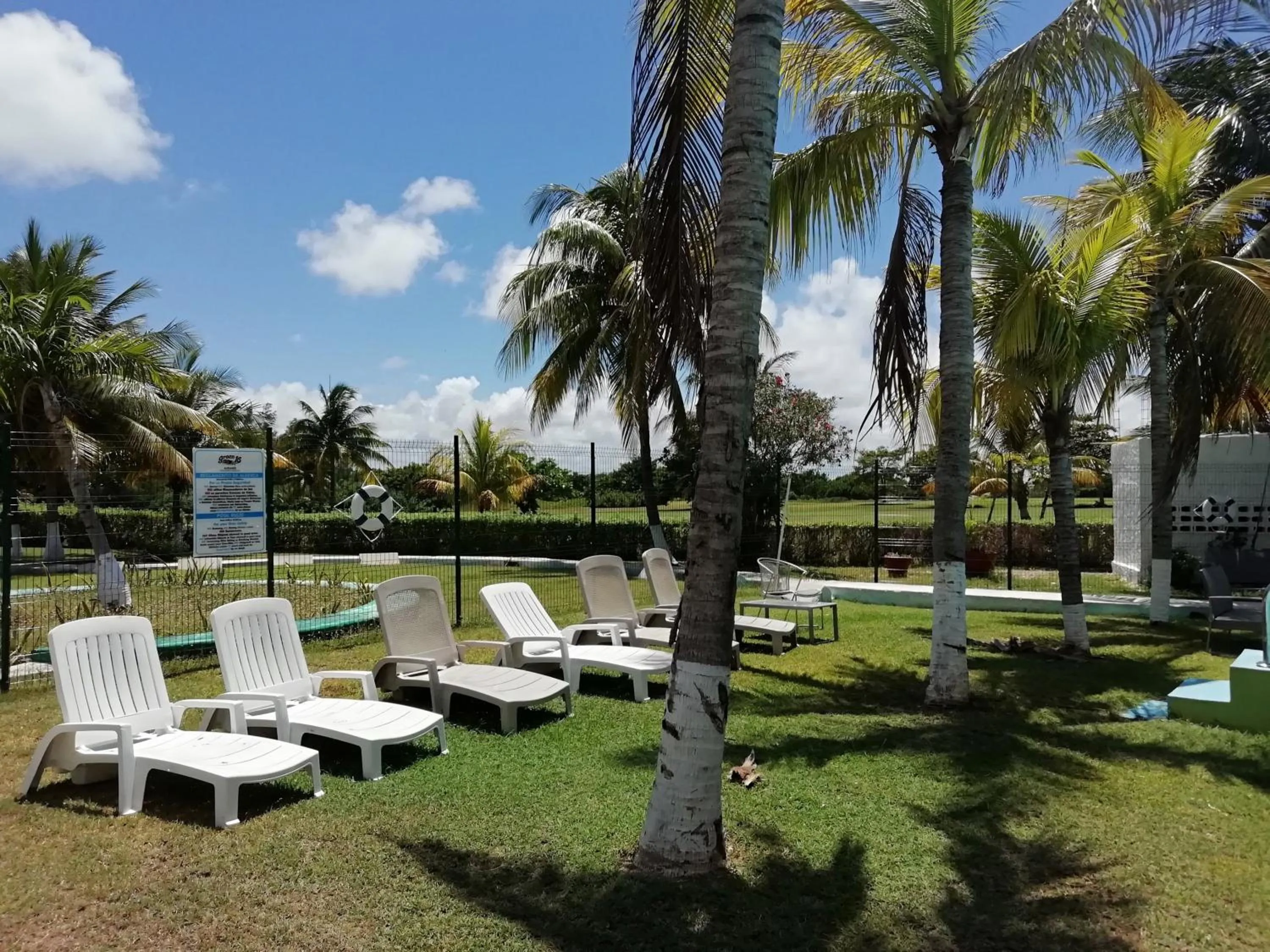 Garden in Hotel Green 16