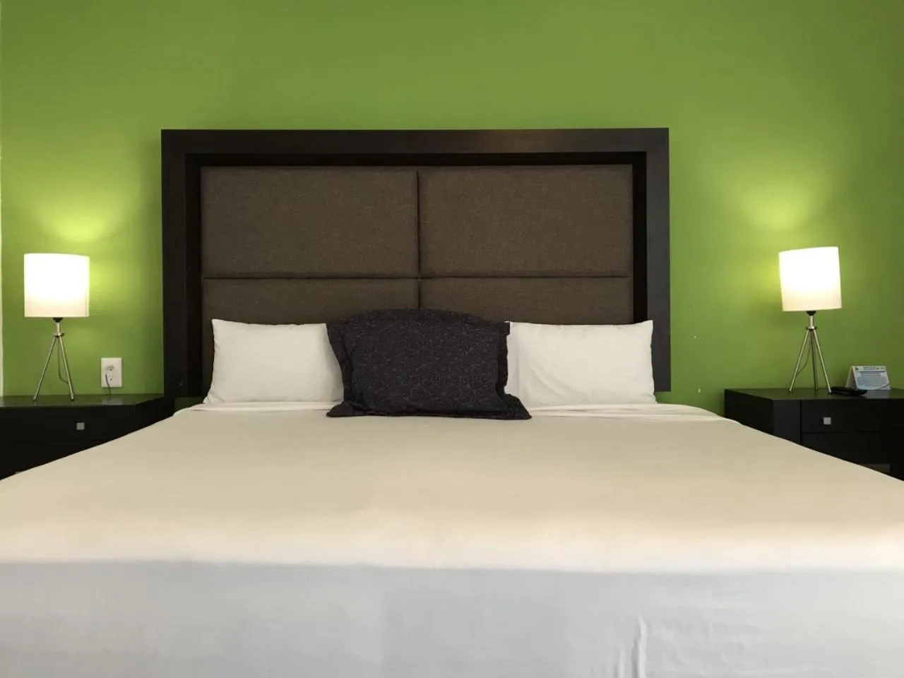 Bed in Hotel Green 16