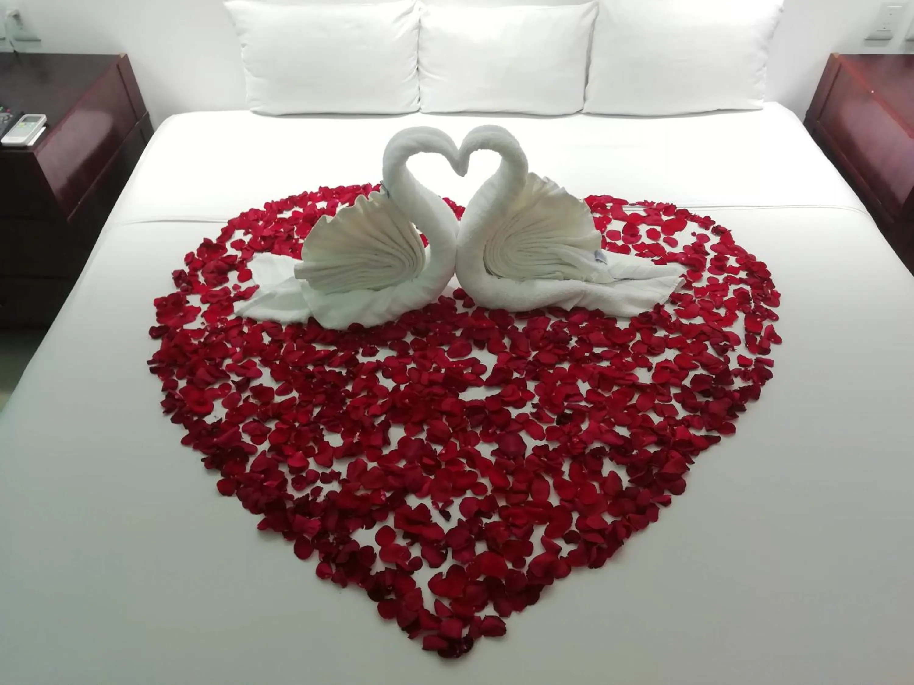 Bed in Hotel Green 16