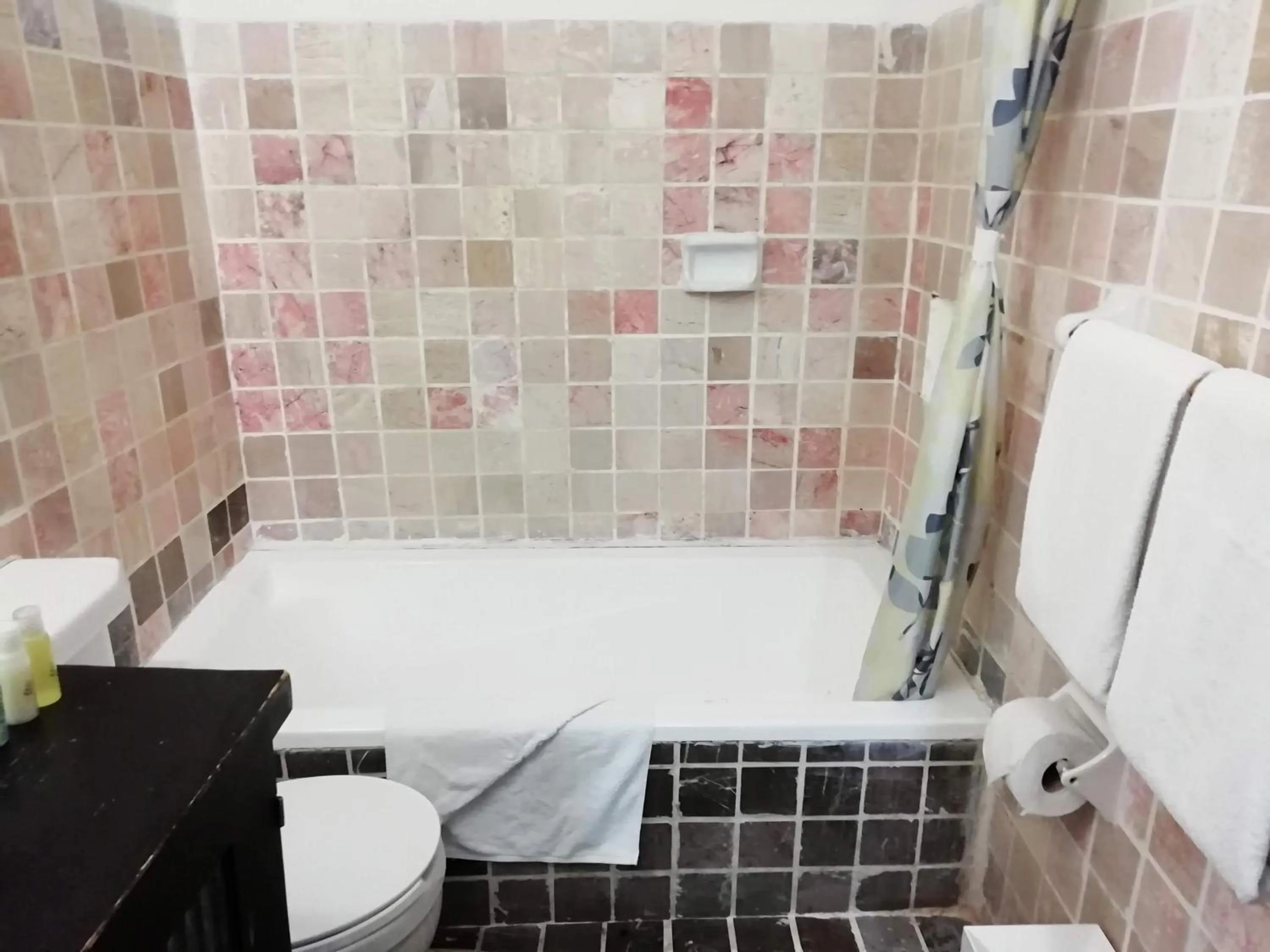 Bathroom in Hotel Green 16