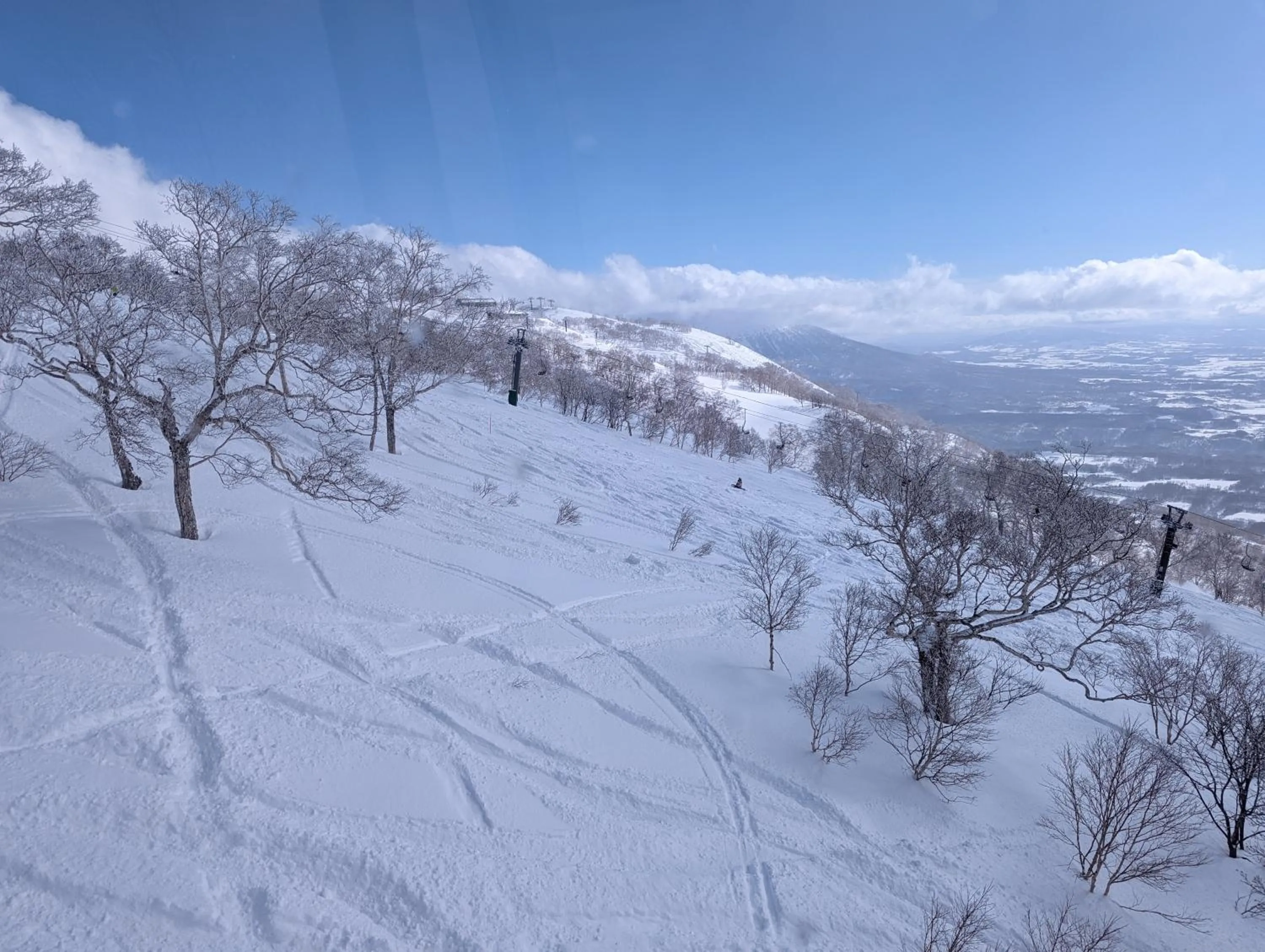 Day in Pension Cotton Farm