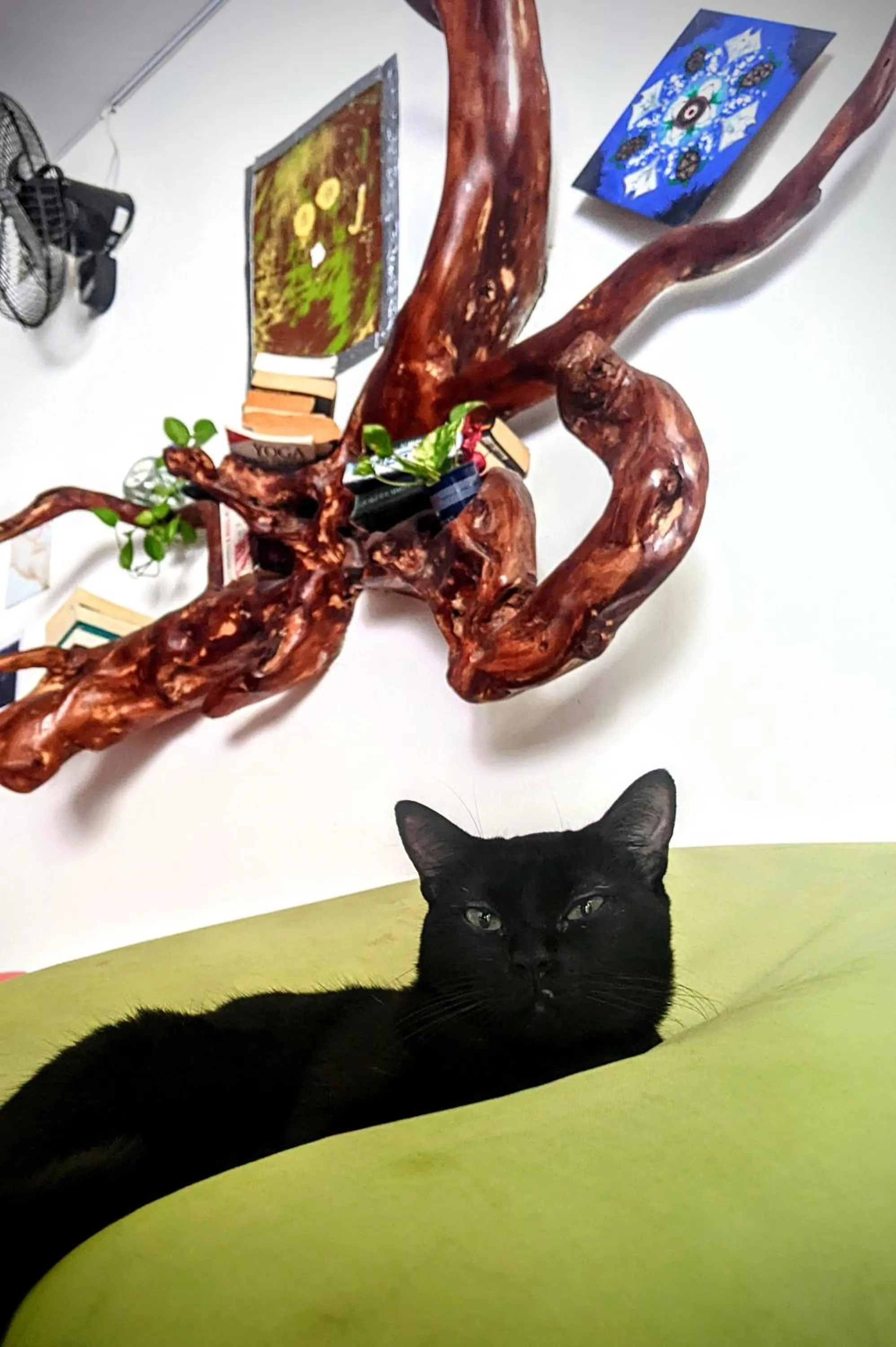 Game Room in The Green Village Boutique Hotel