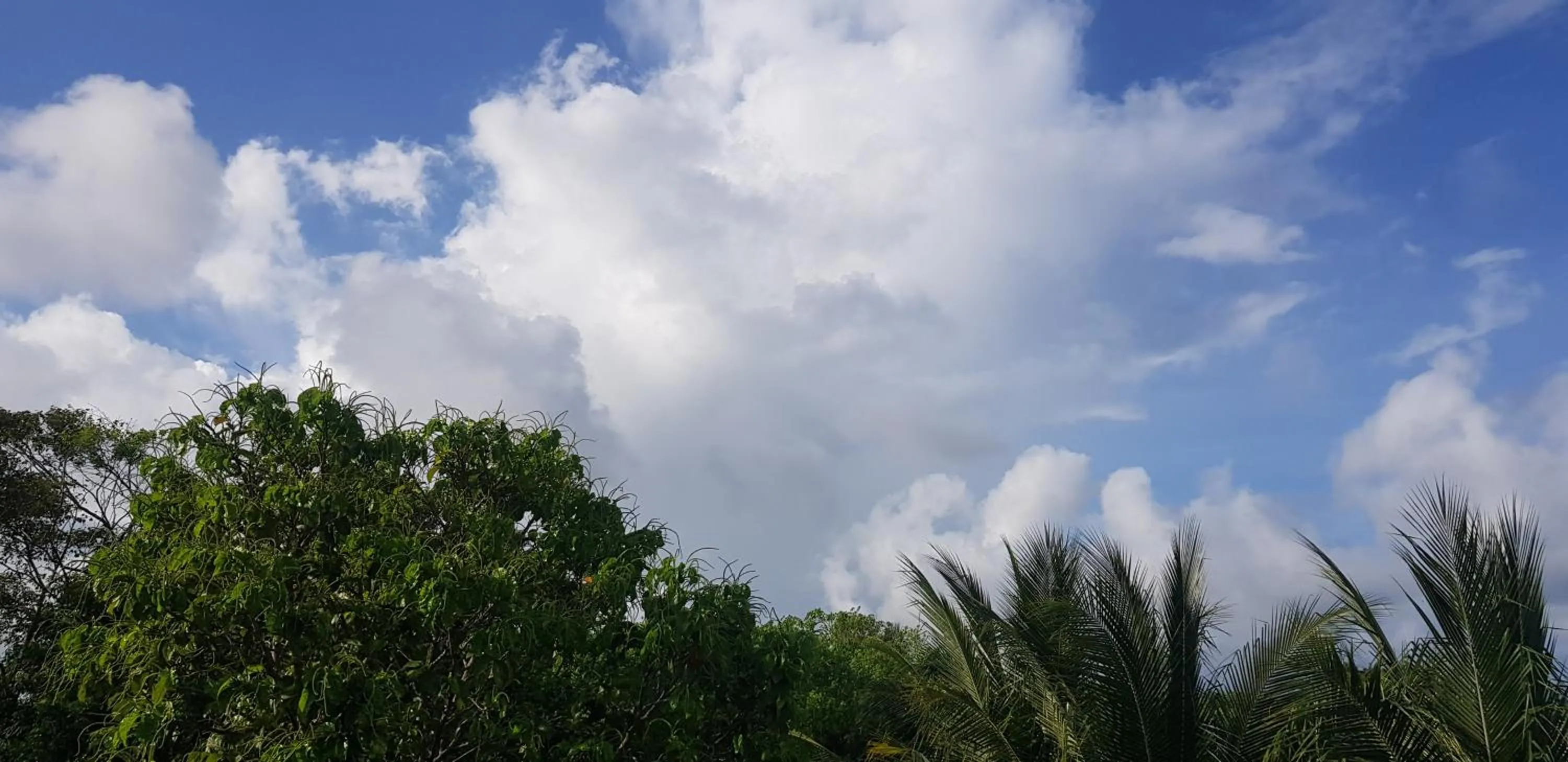 Natural landscape in The Green Village Boutique Hotel