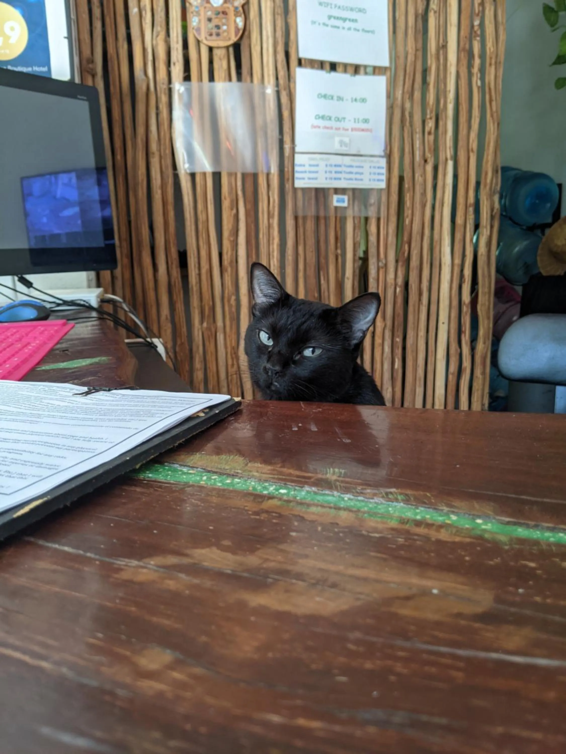 Lobby or reception in The Green Village Boutique Hotel