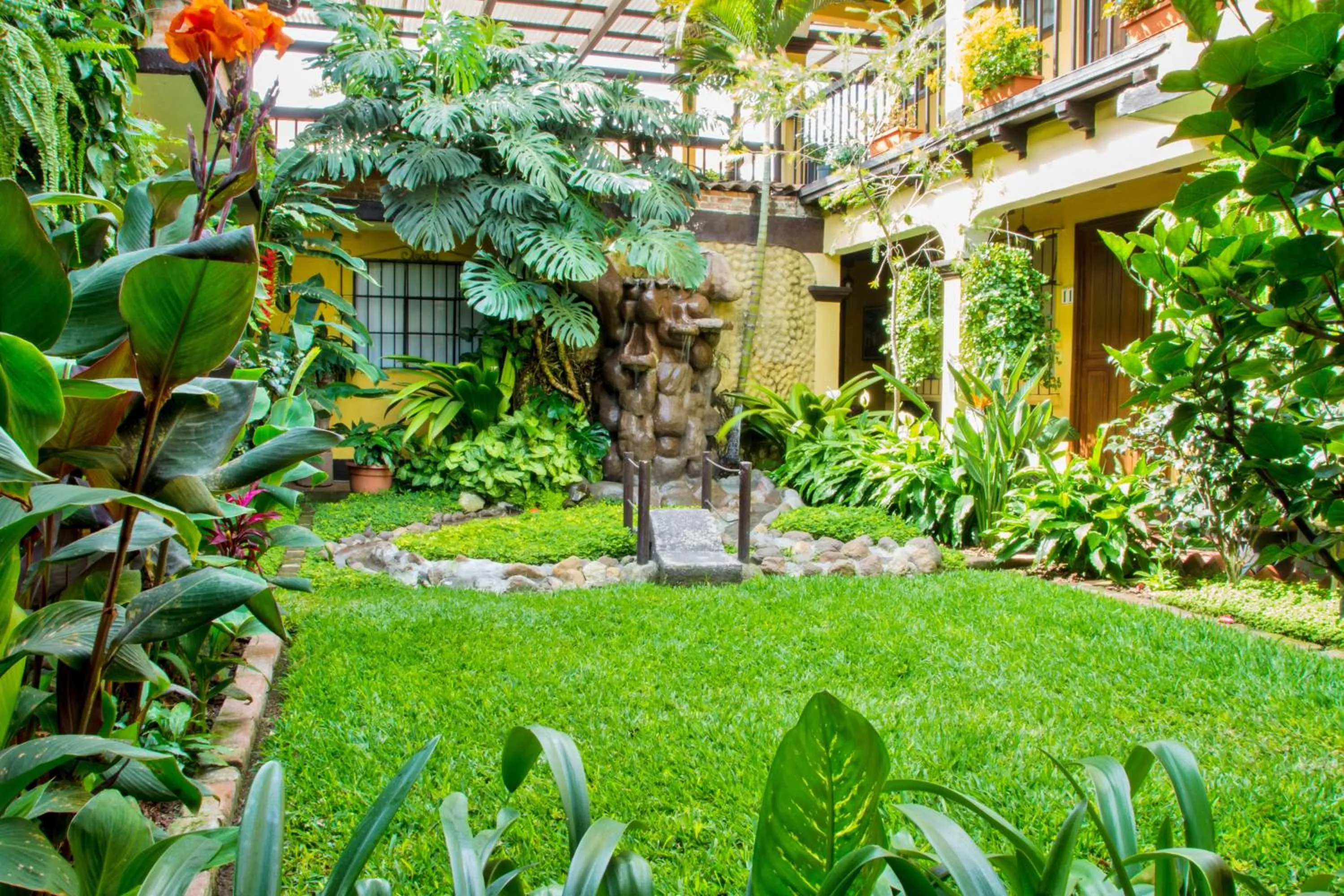 Garden in Hotel Las Camelias Inn by AHS