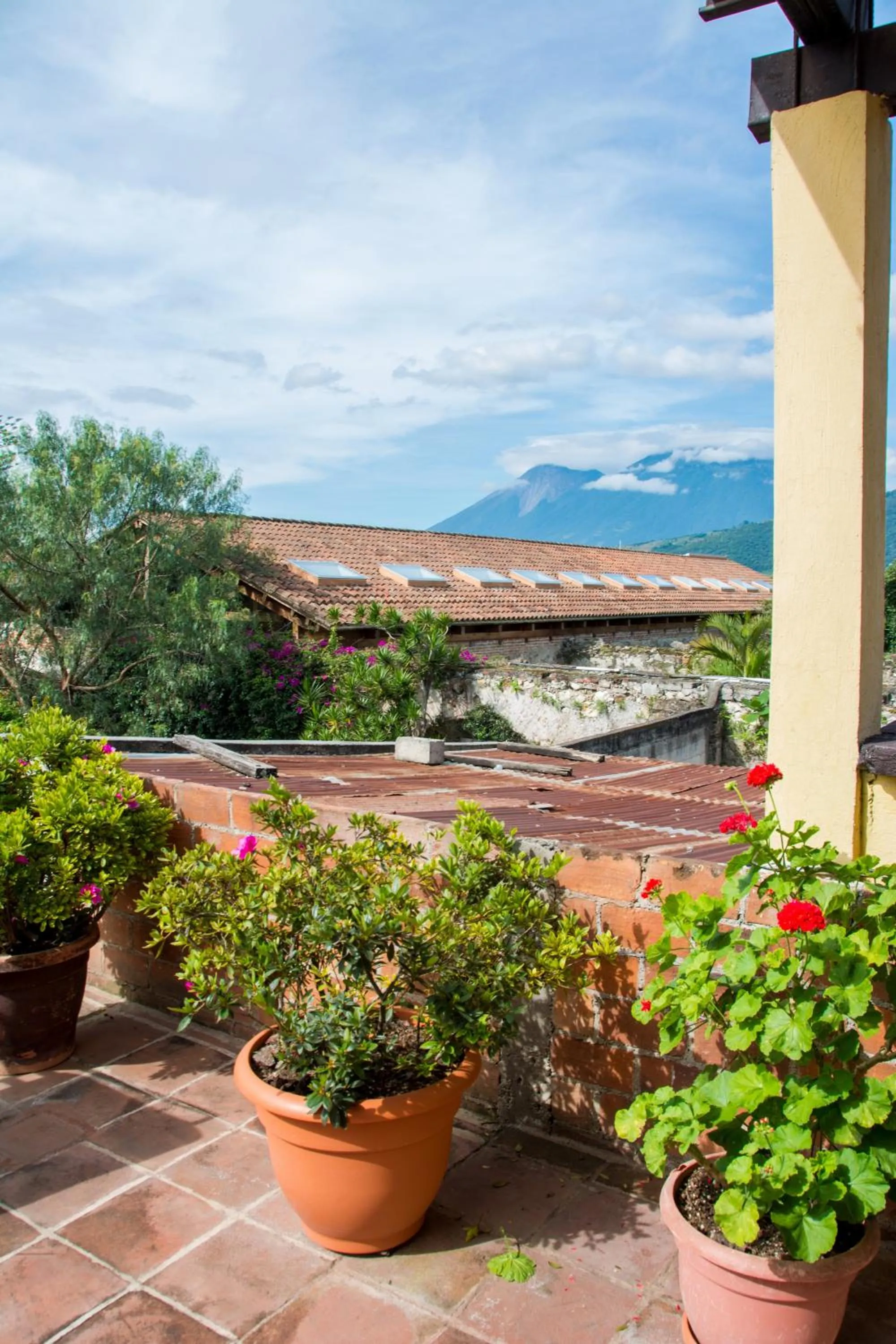 Balcony/Terrace in Hotel Las Camelias Inn by AHS