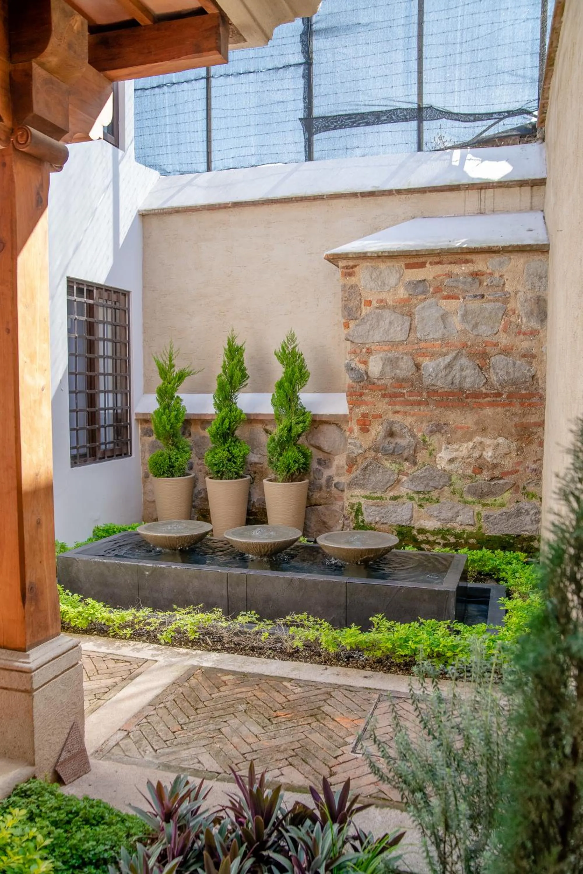 Garden in Hotel Las Camelias Inn by AHS