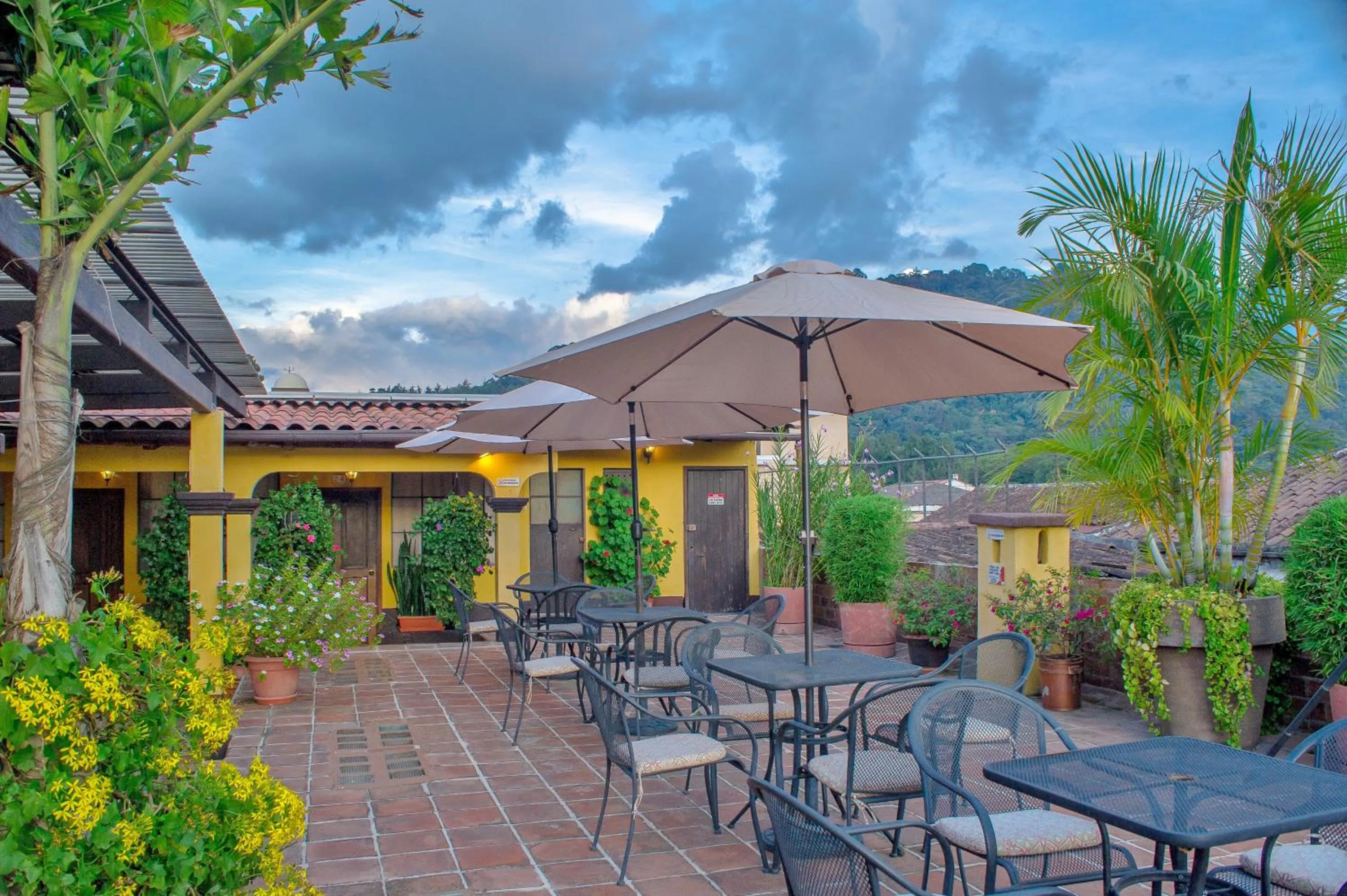Patio in Hotel Las Camelias Inn by AHS
