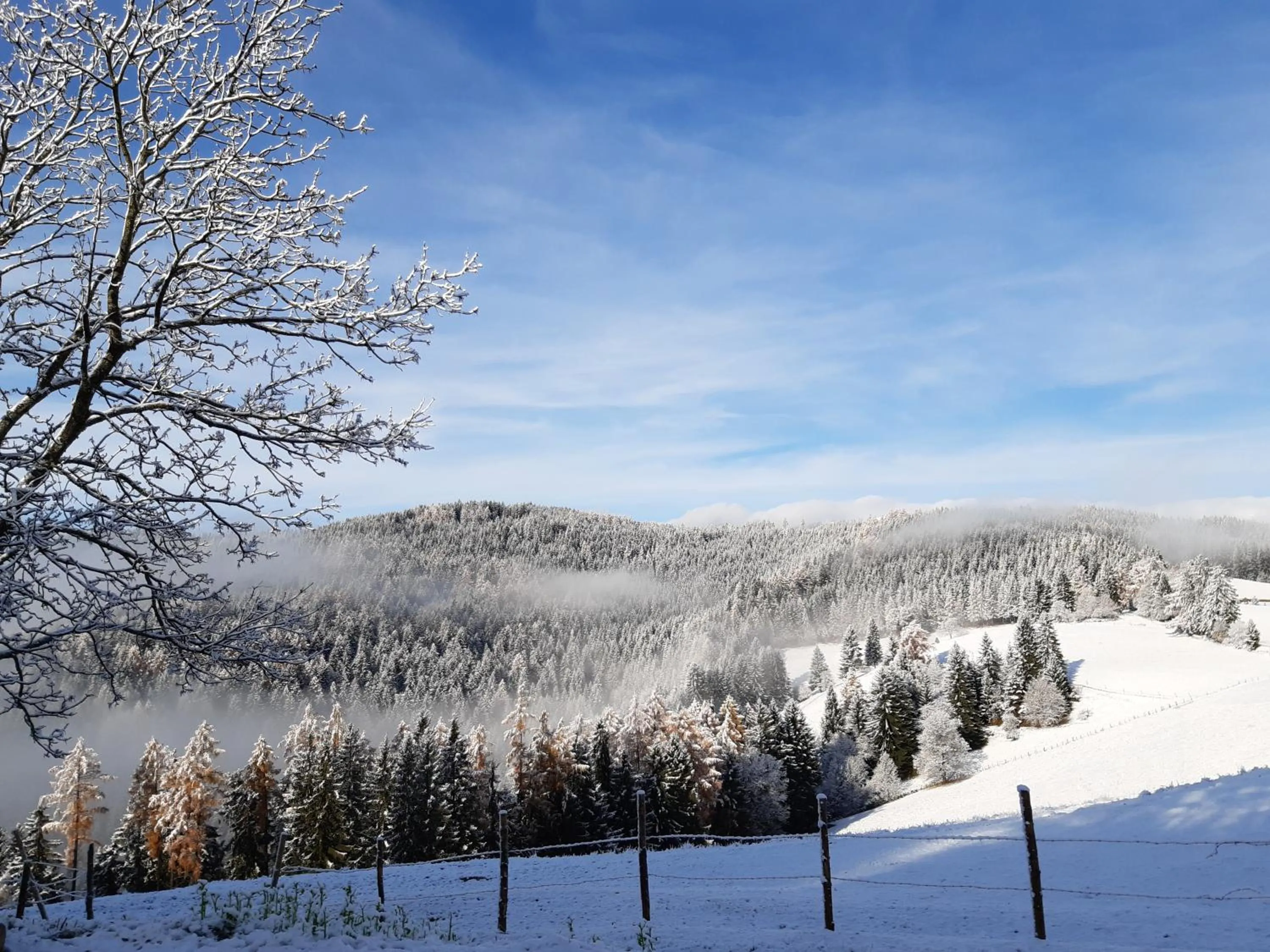 Natural landscape in Auszeit Almhaus Schmalzbauer