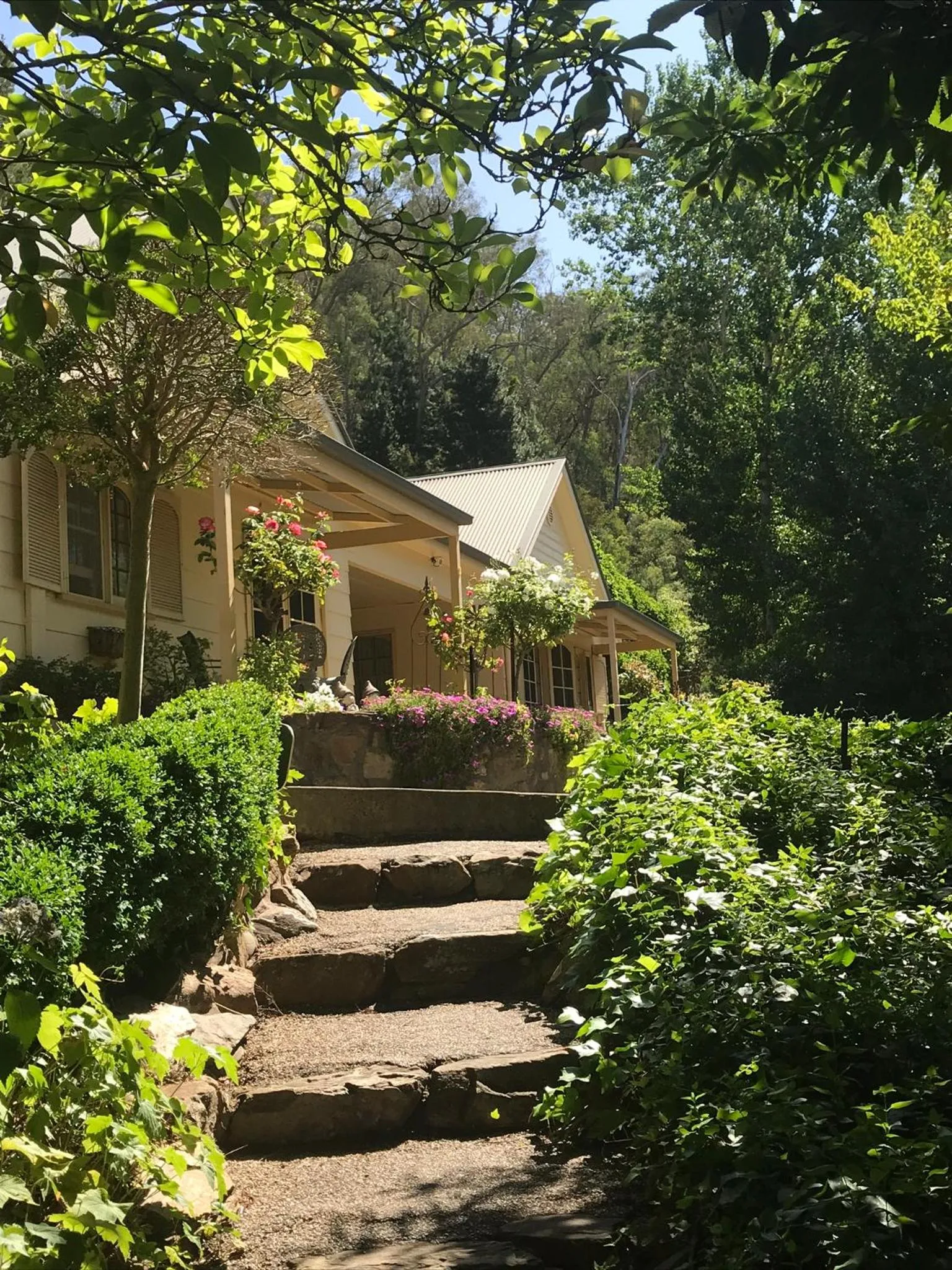 Chestnut Tree Holiday Units