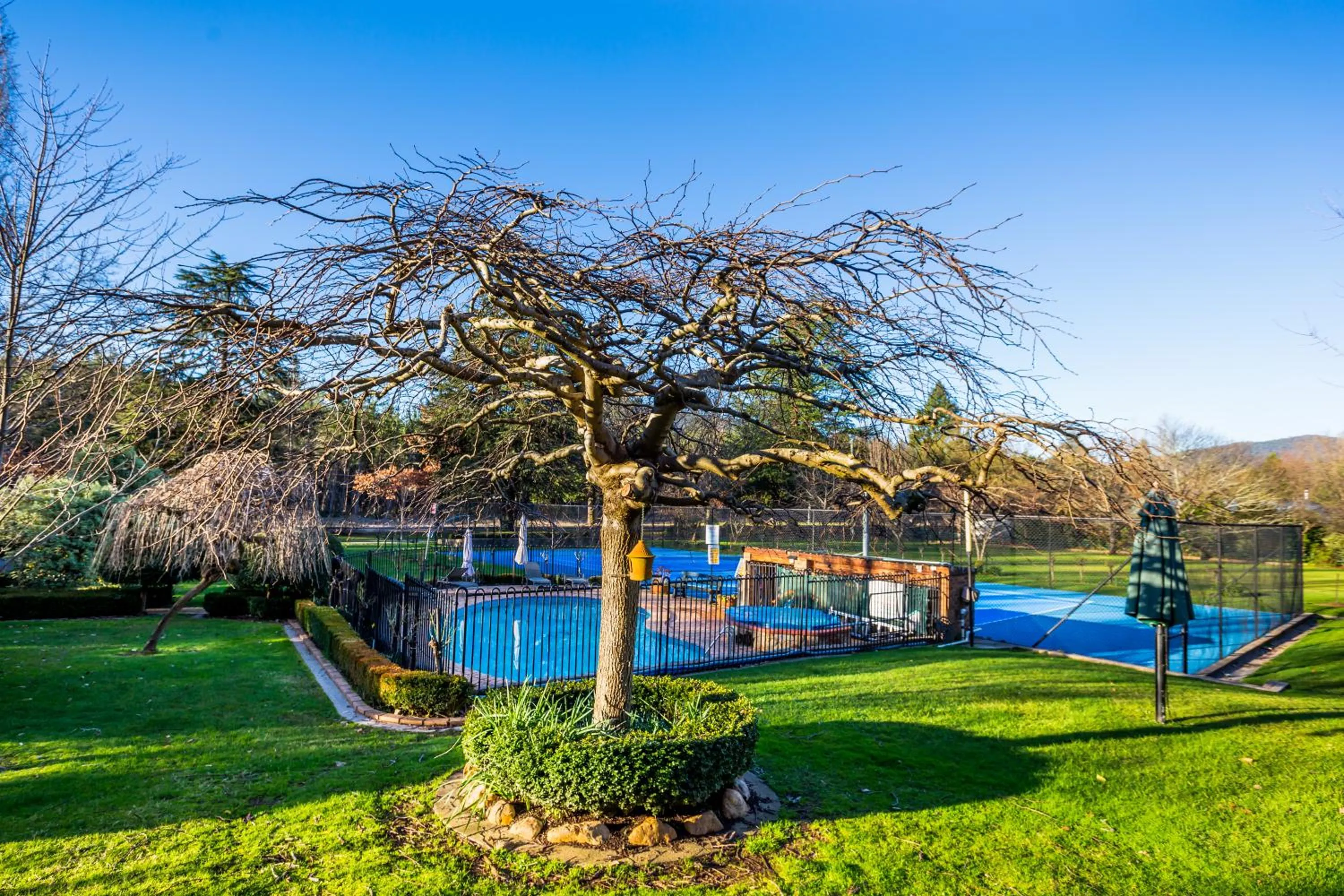 Tennis court in Chestnut Tree Holiday Units