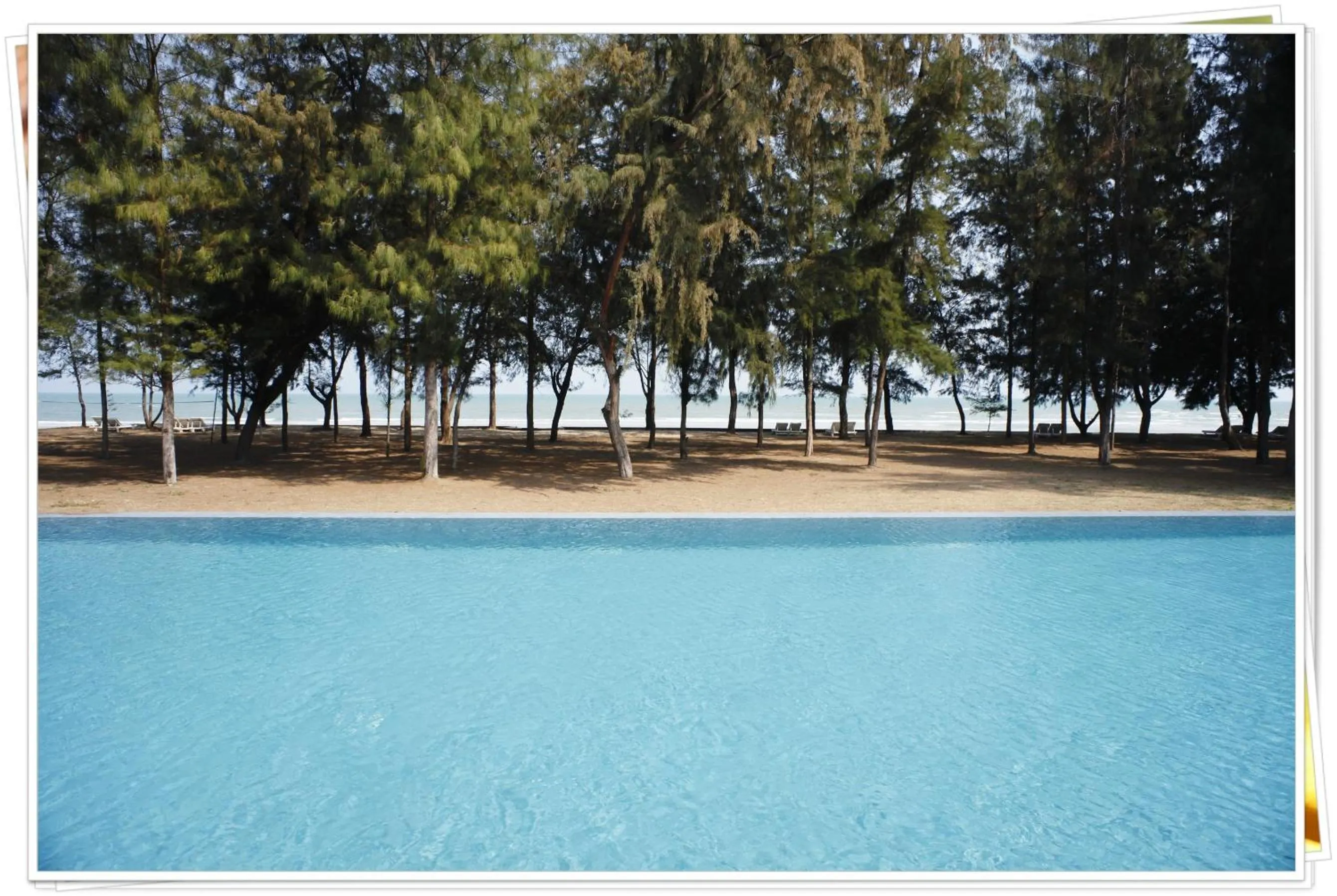 Hansar Casuarina Cha am