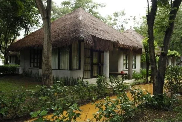 Hansar Casuarina Cha am