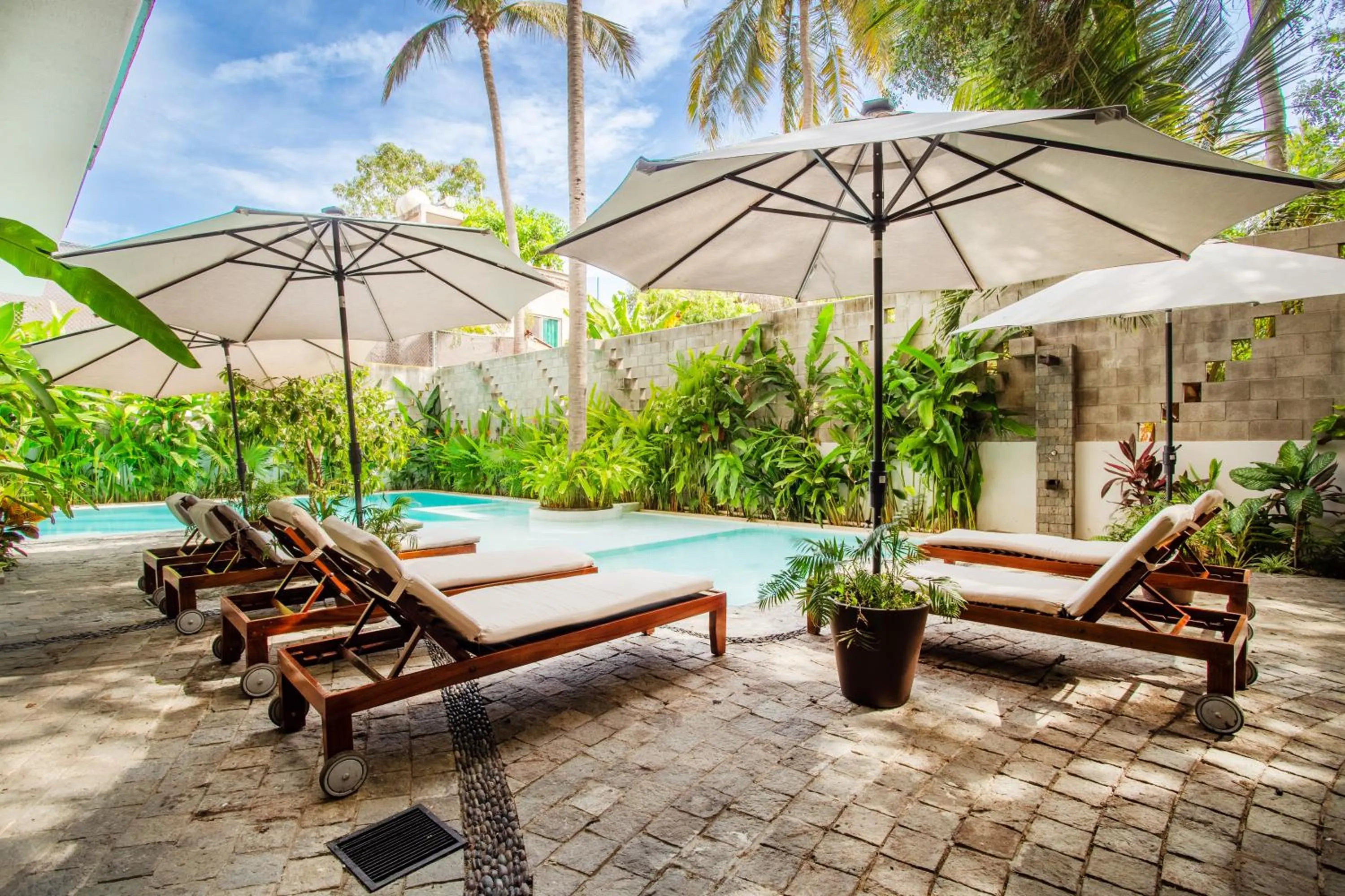 Garden in Agua de Luna Hotel Boutique, San Pancho Nayarit