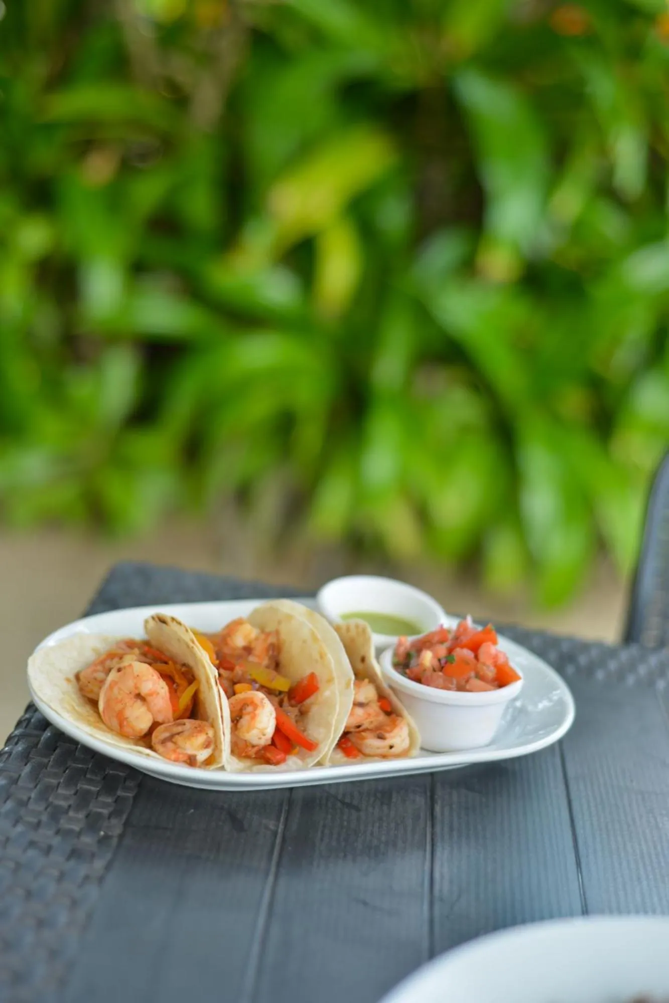 Hotel Machos Mahahual