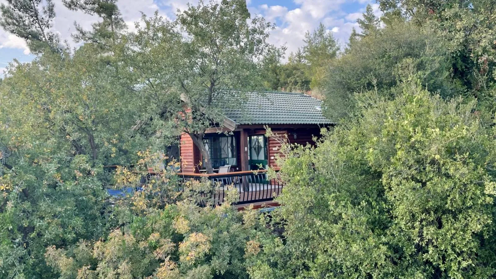 First Light Cabins
