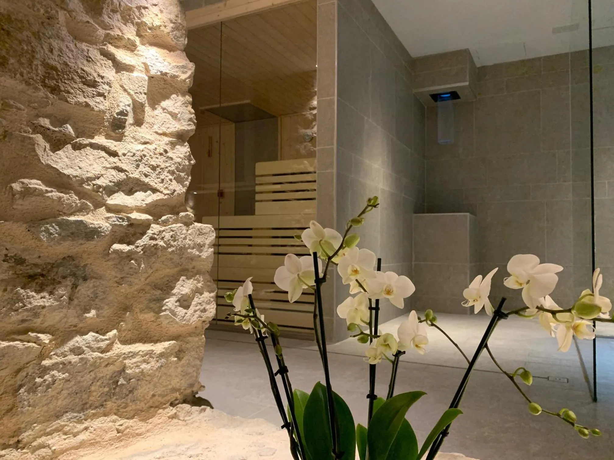 Spa and wellness centre/facilities in Spa & Wellness by Des Anglais " Accesso SPA compreso"