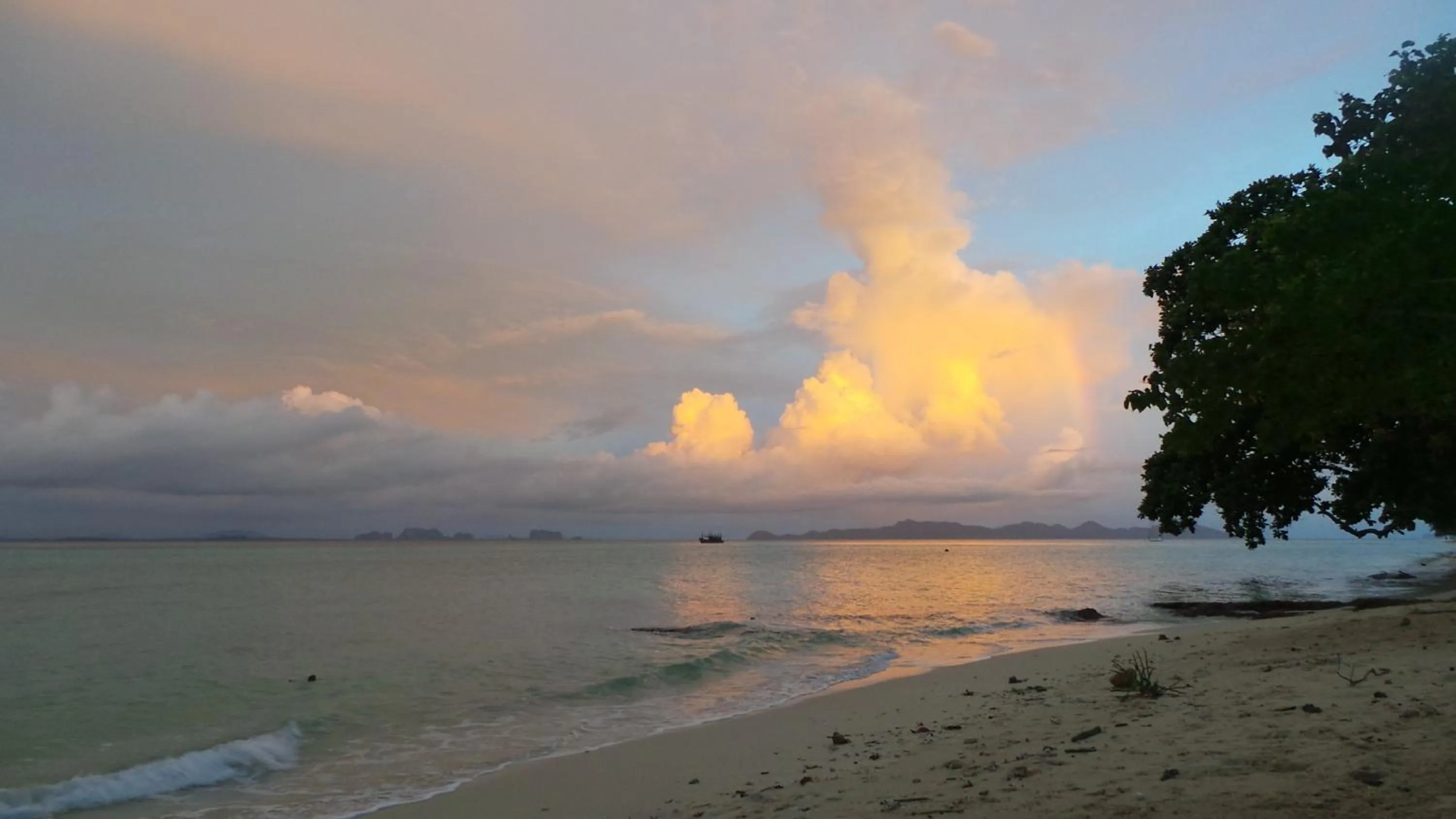 Beach in The Reef Resort