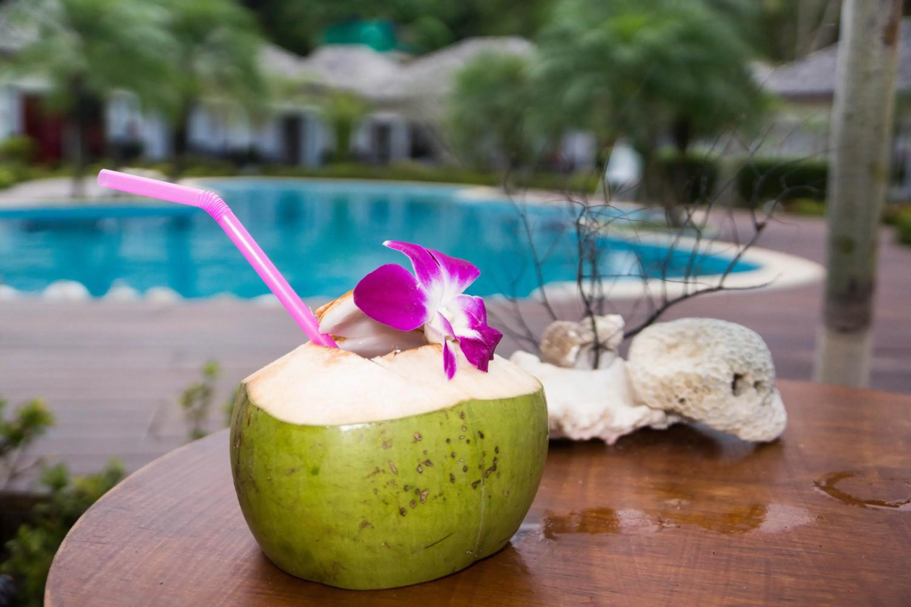 Swimming pool in The Reef Resort