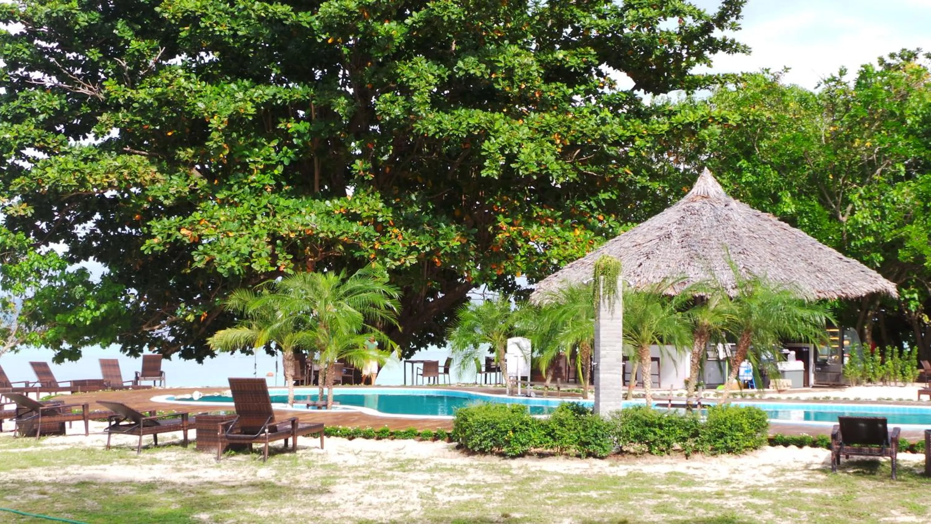 Swimming pool in The Reef Resort