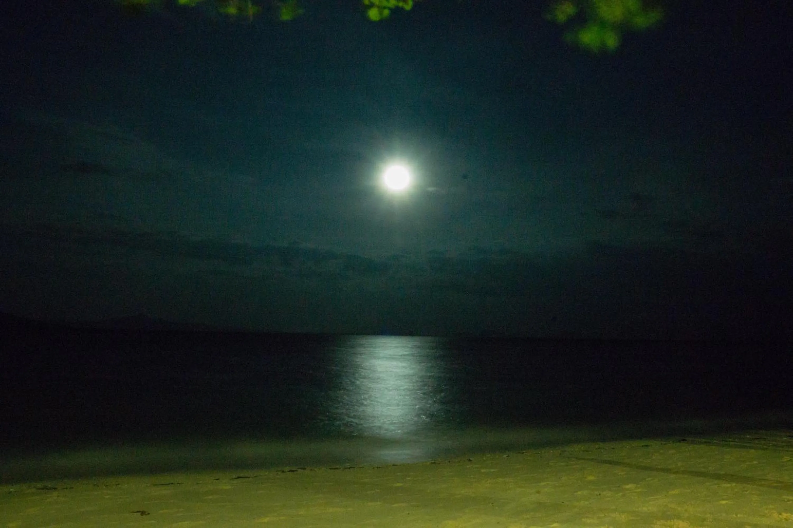 Night in The Reef Resort