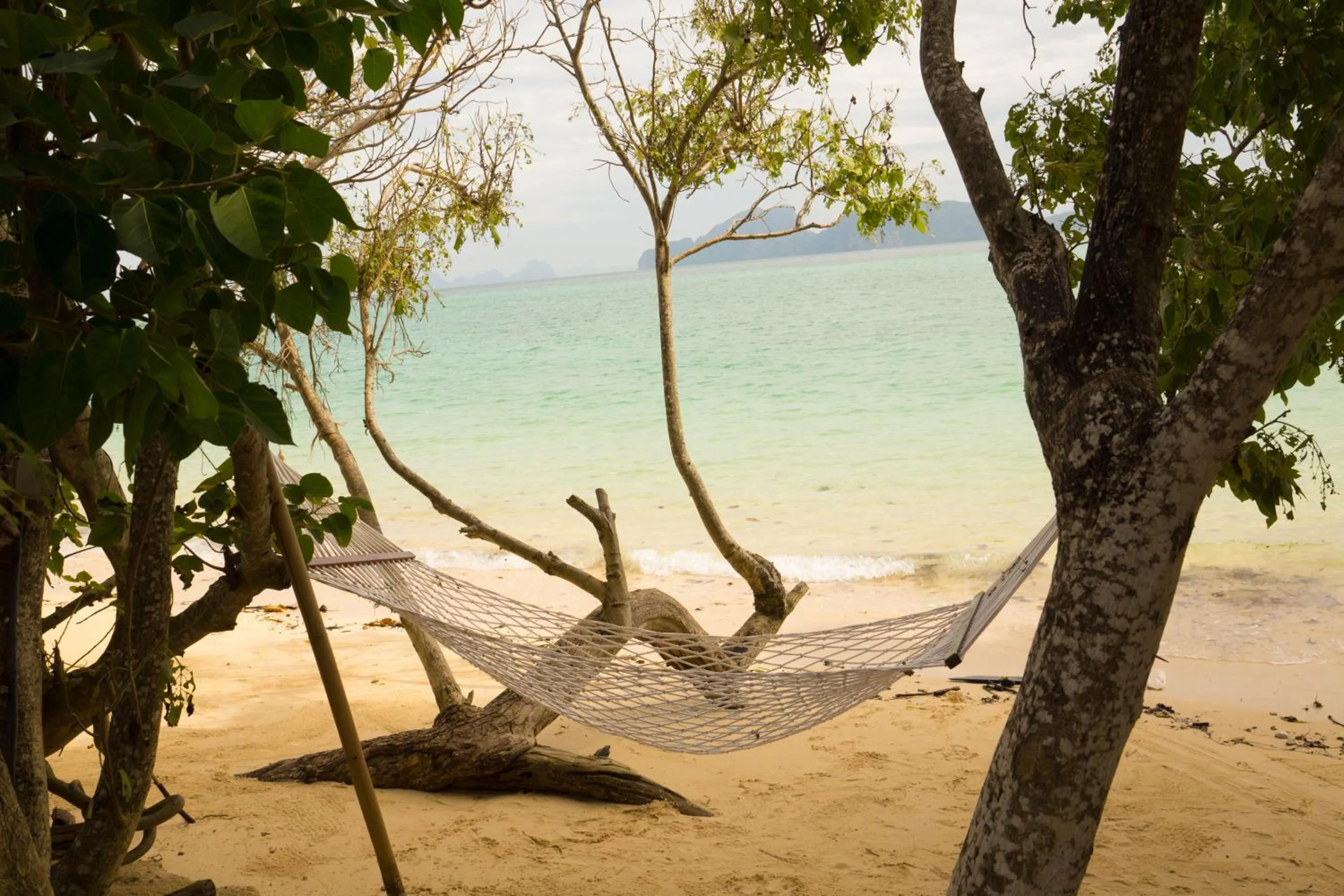 Beach in The Reef Resort