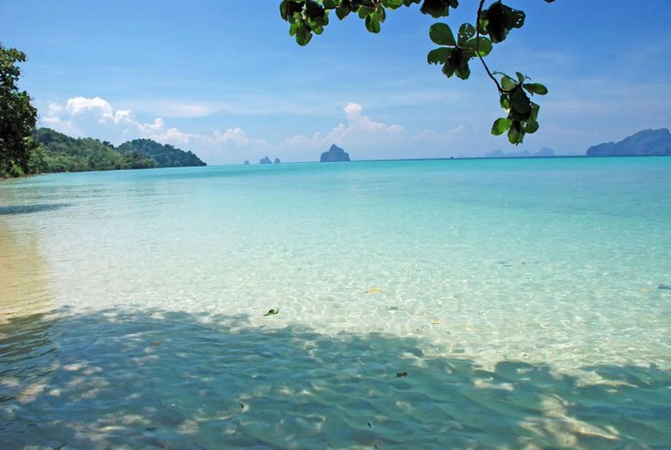 Beach in The Reef Resort