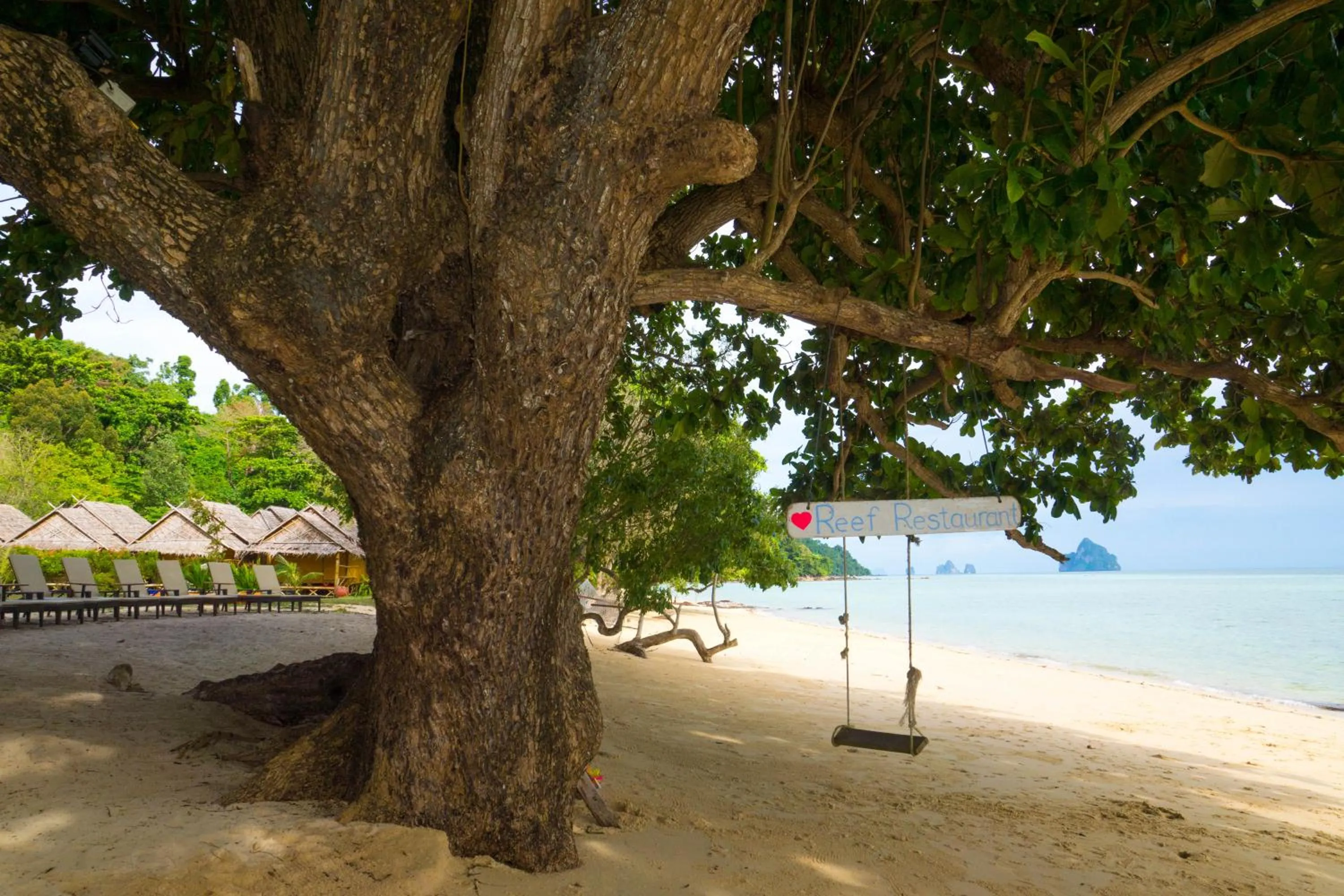 Beach in The Reef Resort