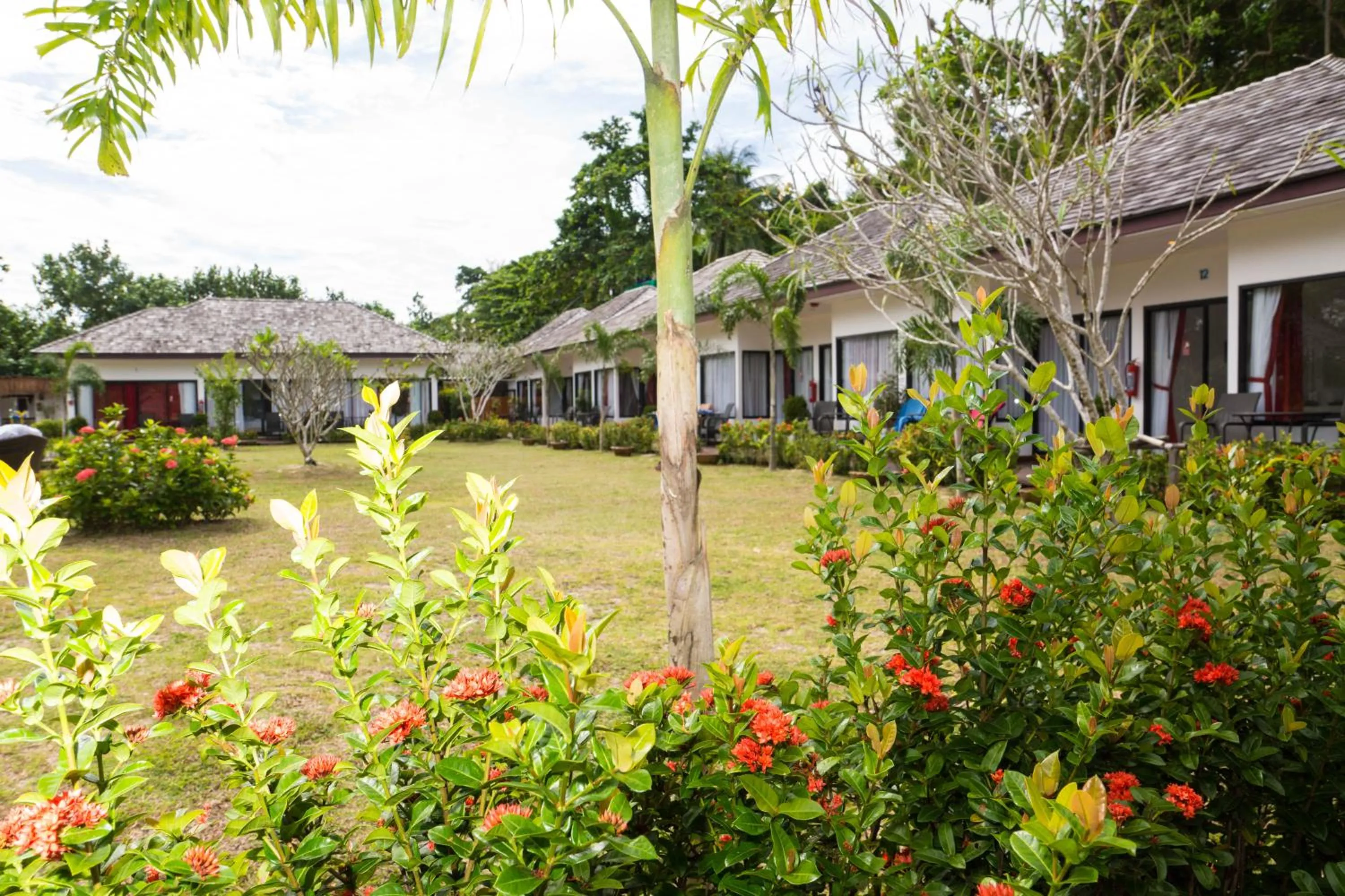 Garden in The Reef Resort