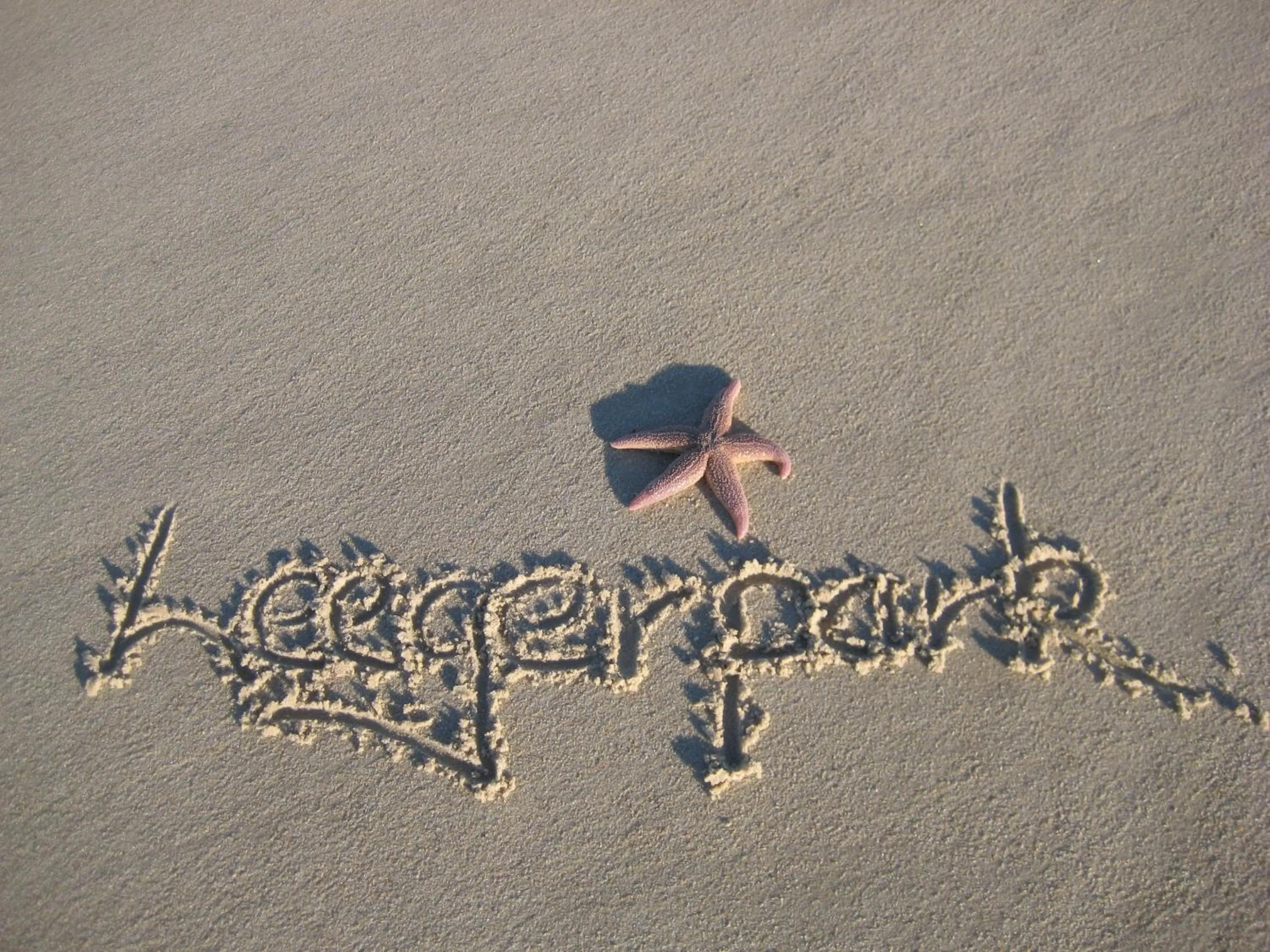 Property logo or sign in Hotel Leegerpark