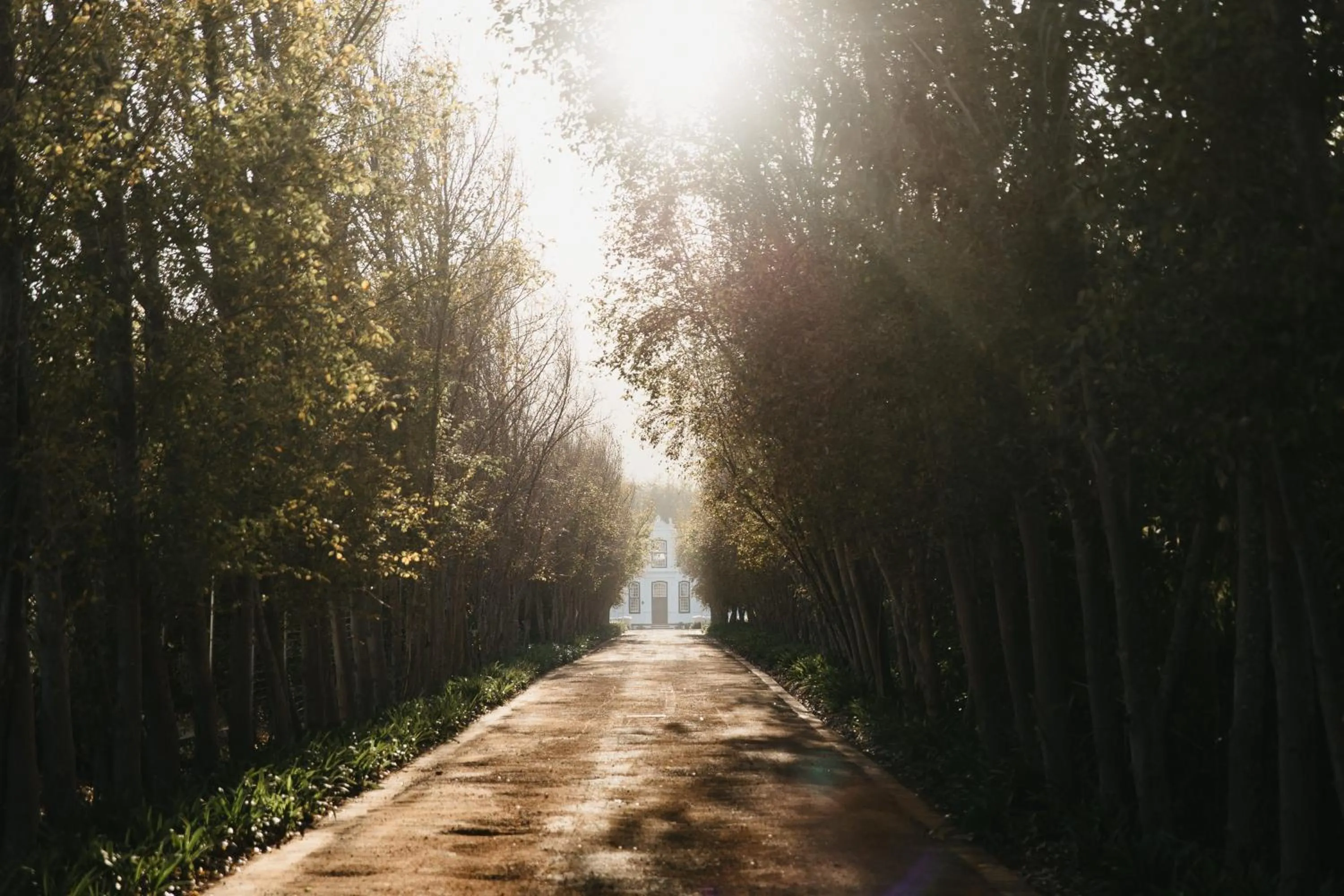 Natural landscape in Weltevreden Estate