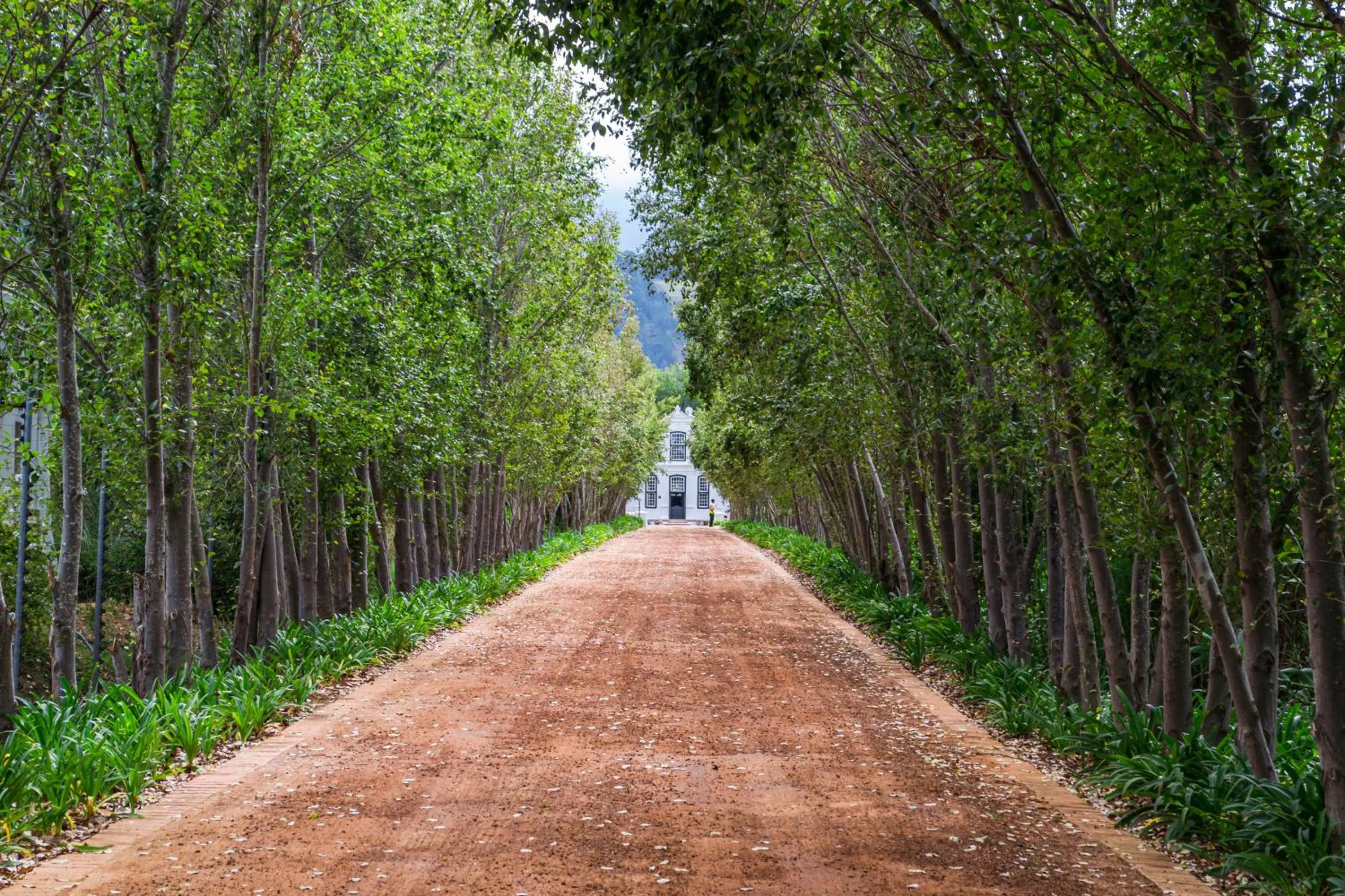 Garden view in Weltevreden Estate