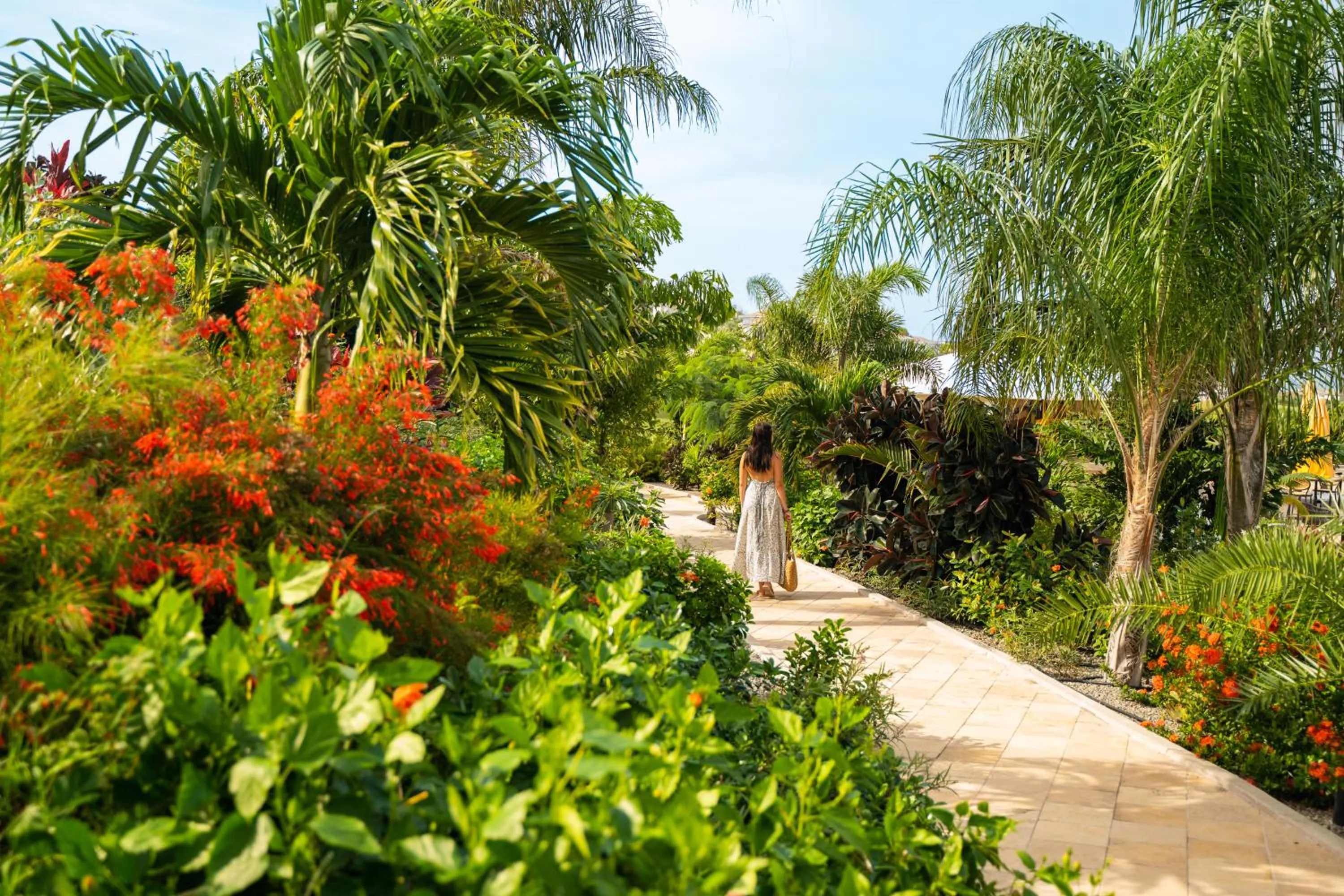 Garden in Golden Rock Dive and Nature Resort