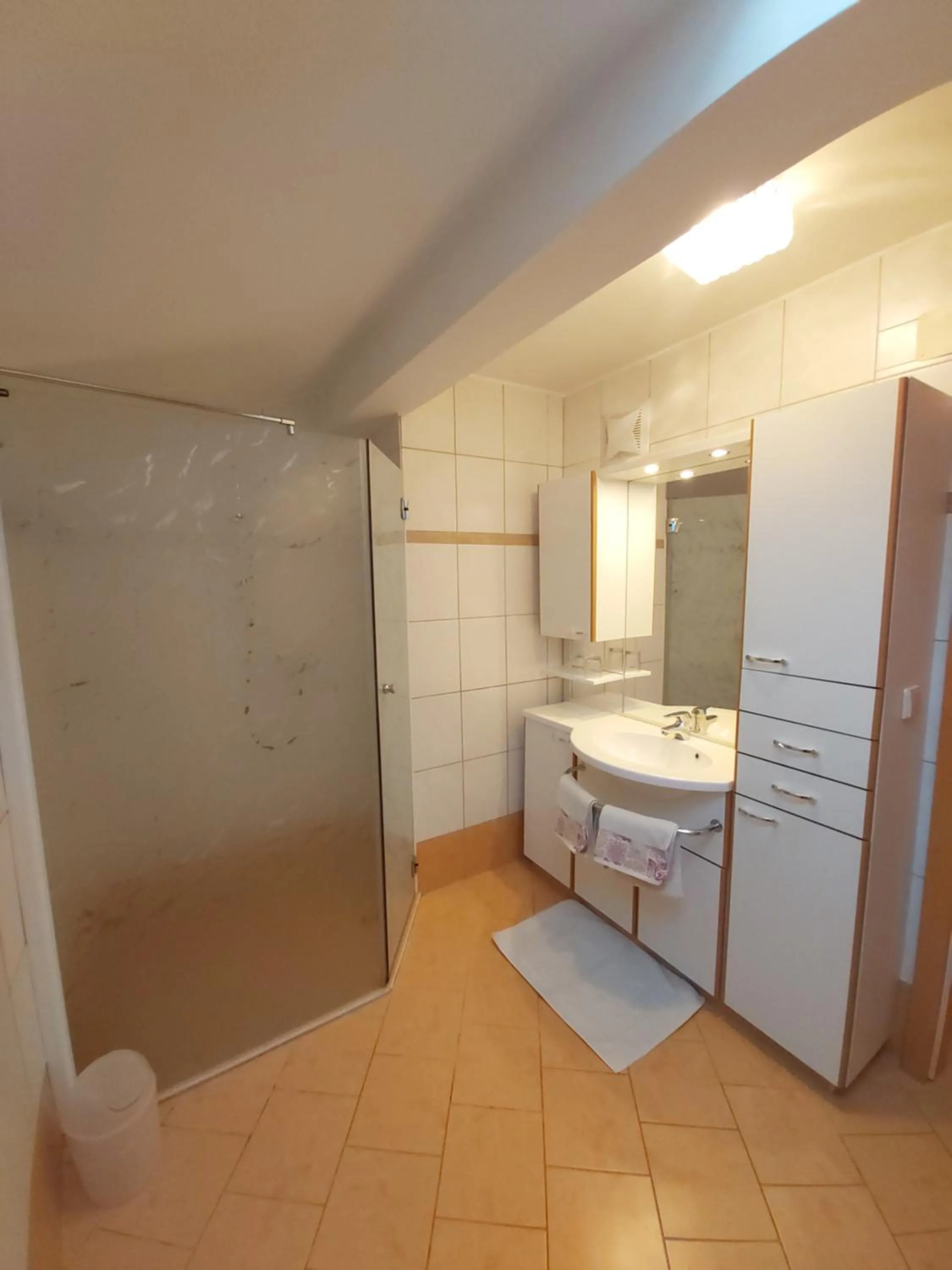 Bathroom in Apartment Ladinger