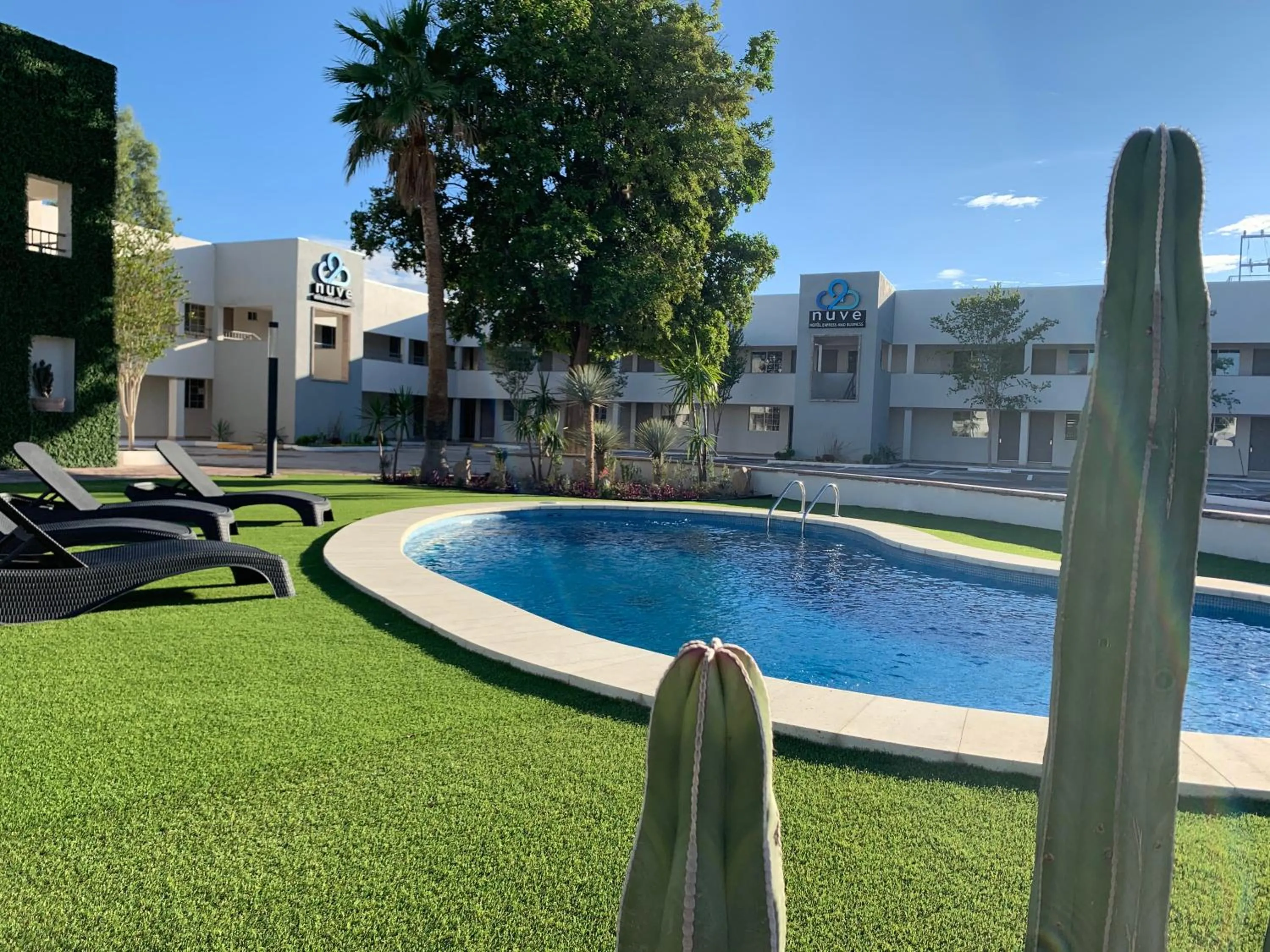 Garden in Hotel Nuve Gomez Palacio