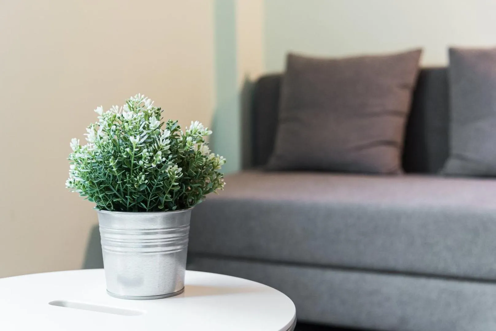 GuestReady - Wellspring Bloom