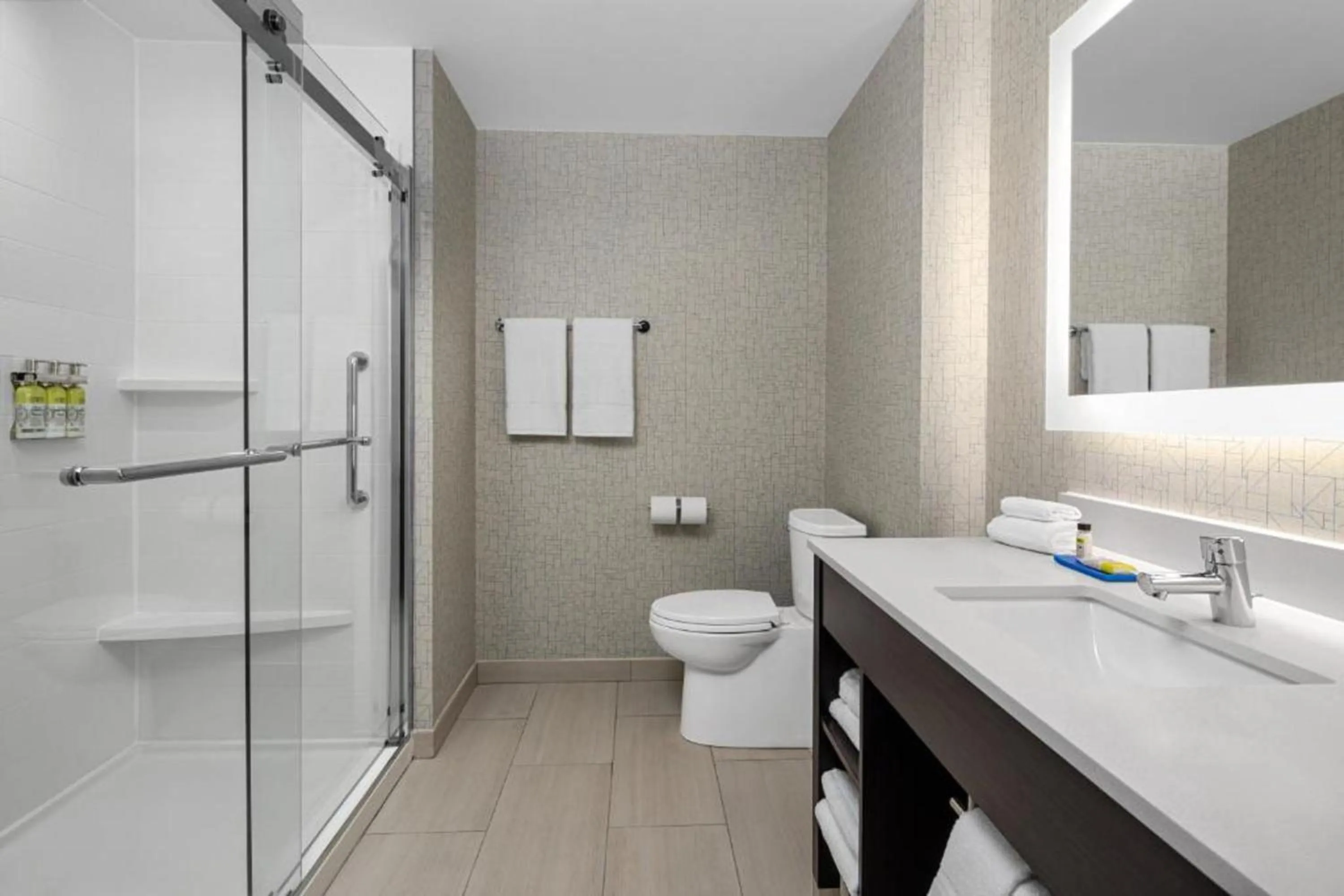 Toilet in Holiday Inn Express & Suites Woodside LaGuardia Airport