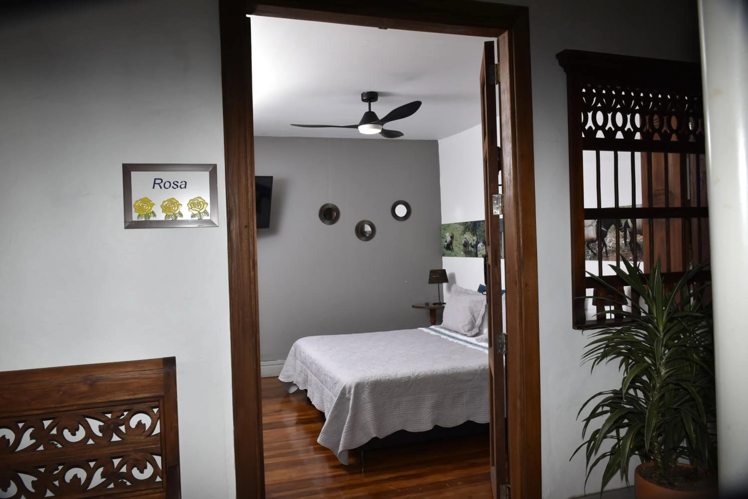 Deluxe Studio - single occupancy in La Estancia Hotel Boutique