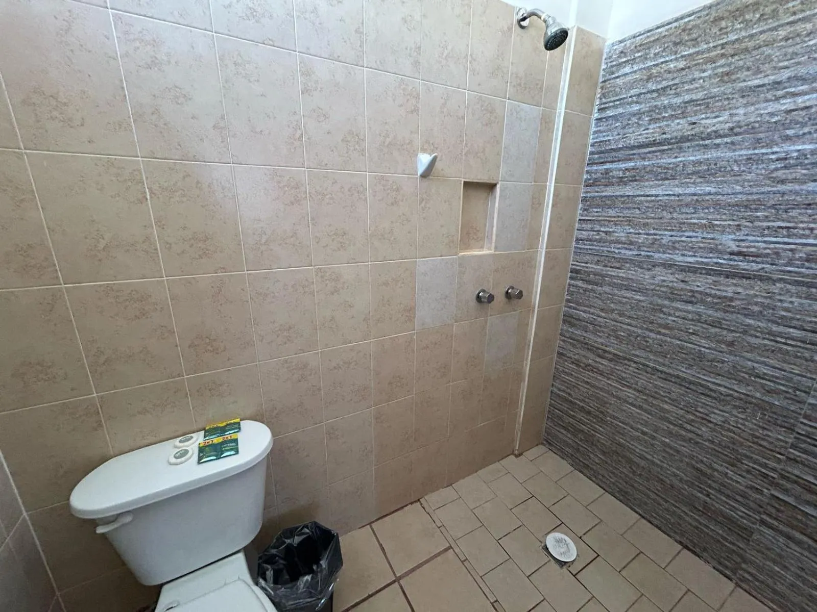 Hotel Albatros Peñita-Guayabitos Nayarit