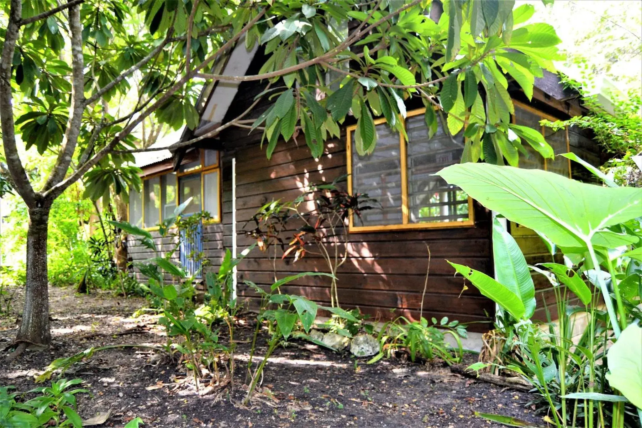 Jungle Like Oasis in San Ignacio - Secluded Cabaa Retreat Close To Mayan Ruins Jungle Like Oasis in San Ignacio - Secluded Cabaa Retreat Close To Mayan Ruins