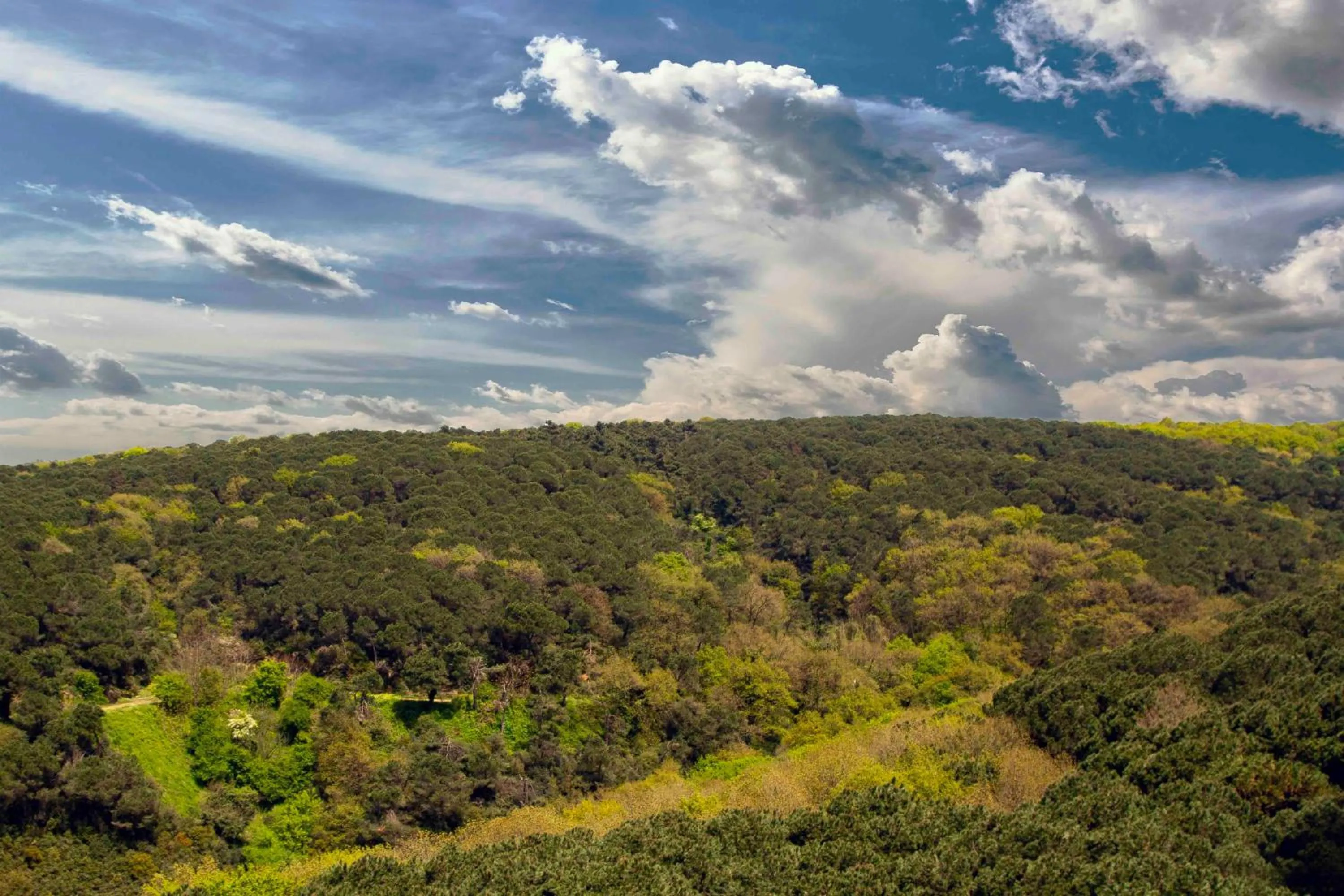 Bed in Maslak Aparts