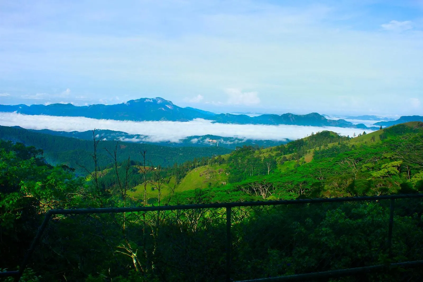 Mountain view in The Riverston Grand