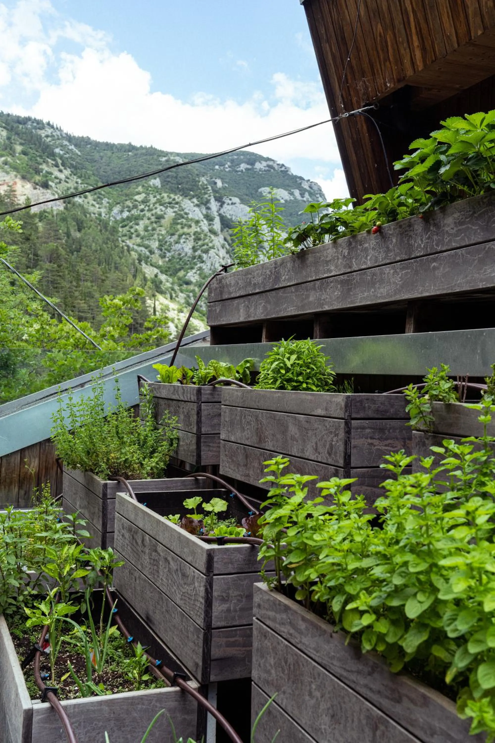 Garden in La Forestale Luxury Ecolodge - La Suite Royale