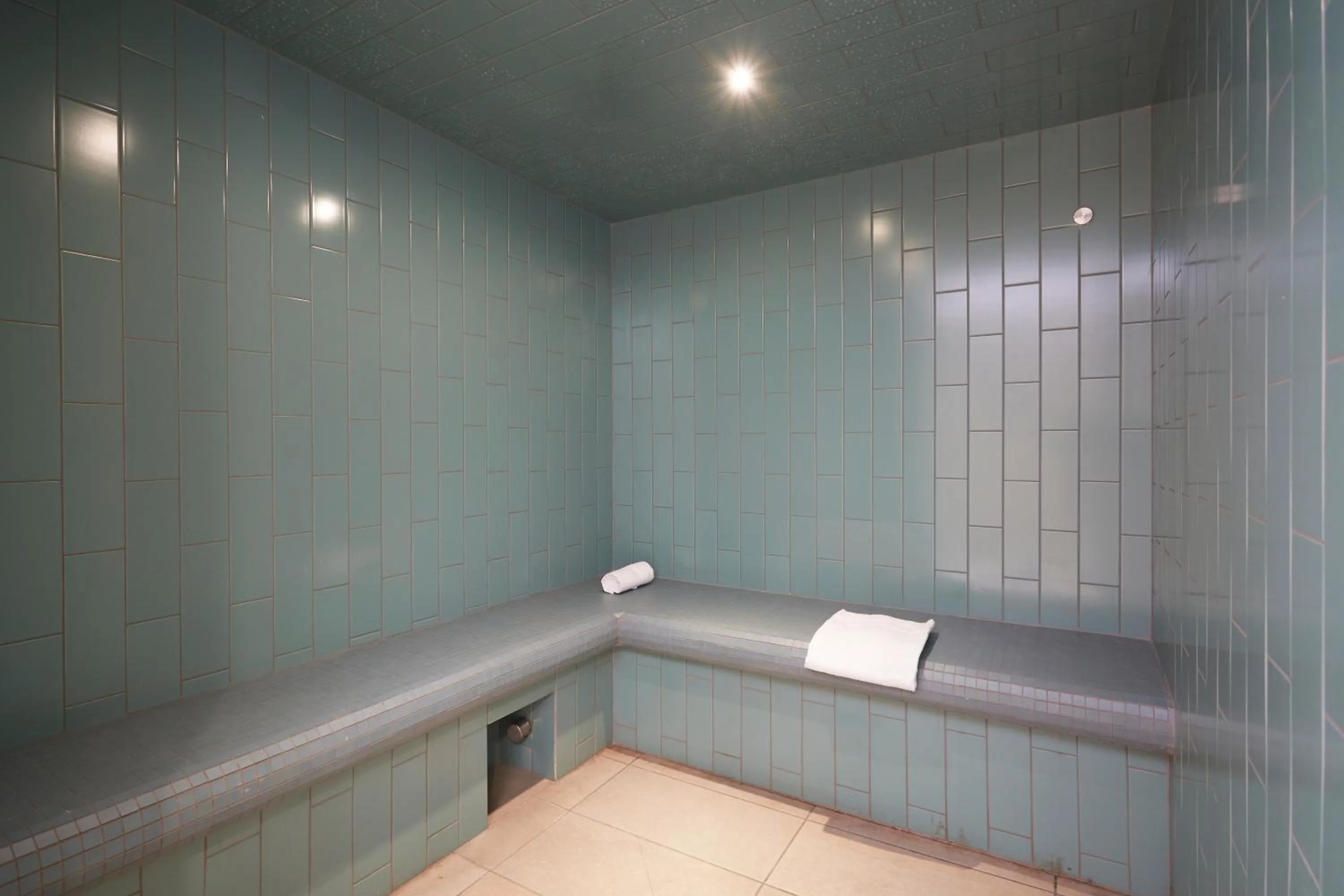 Steam room in Résidence Néméa Le Hameau - Les Deux Alpes