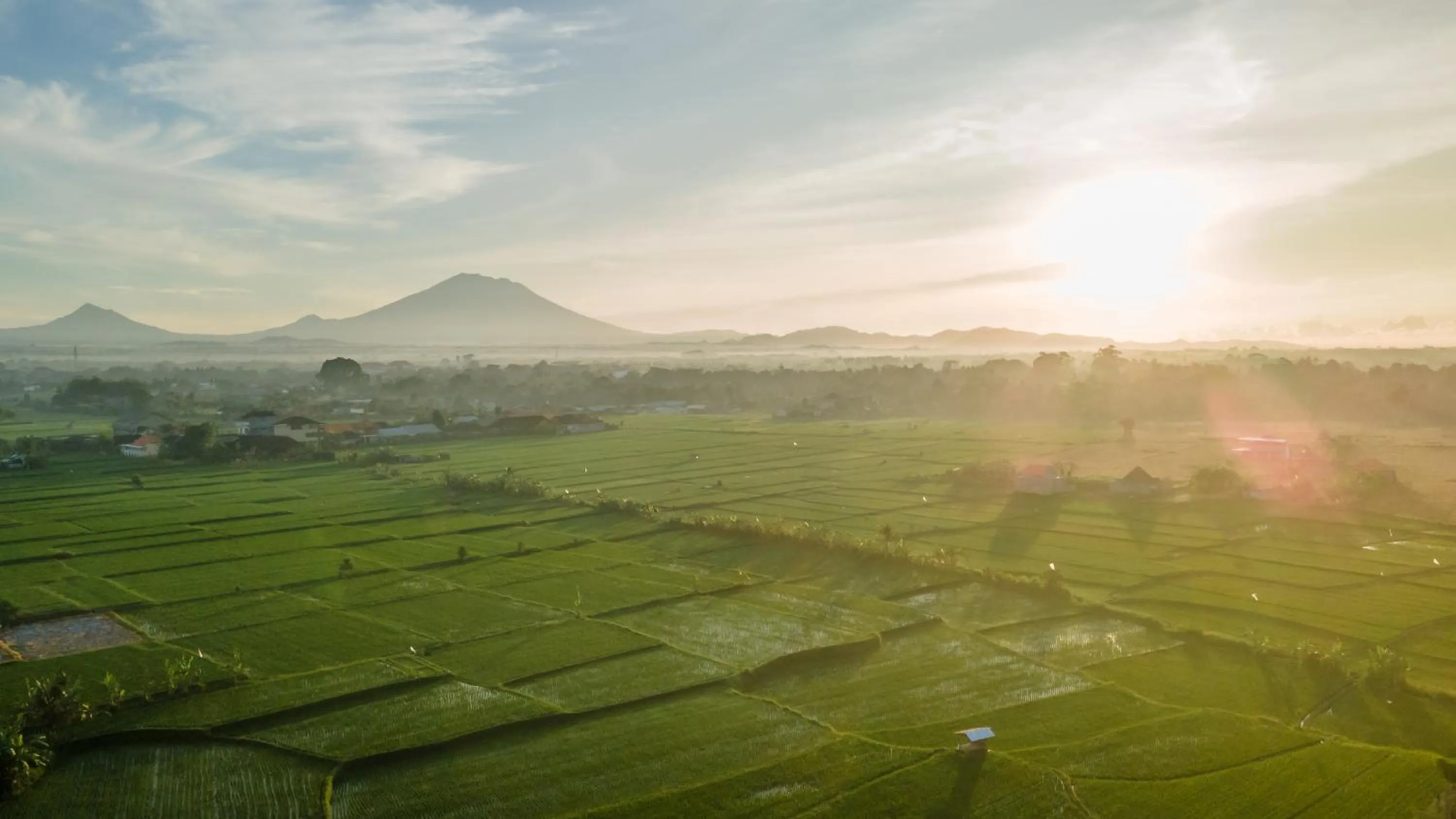 Natural landscape in Aswanaya Villas Ubud