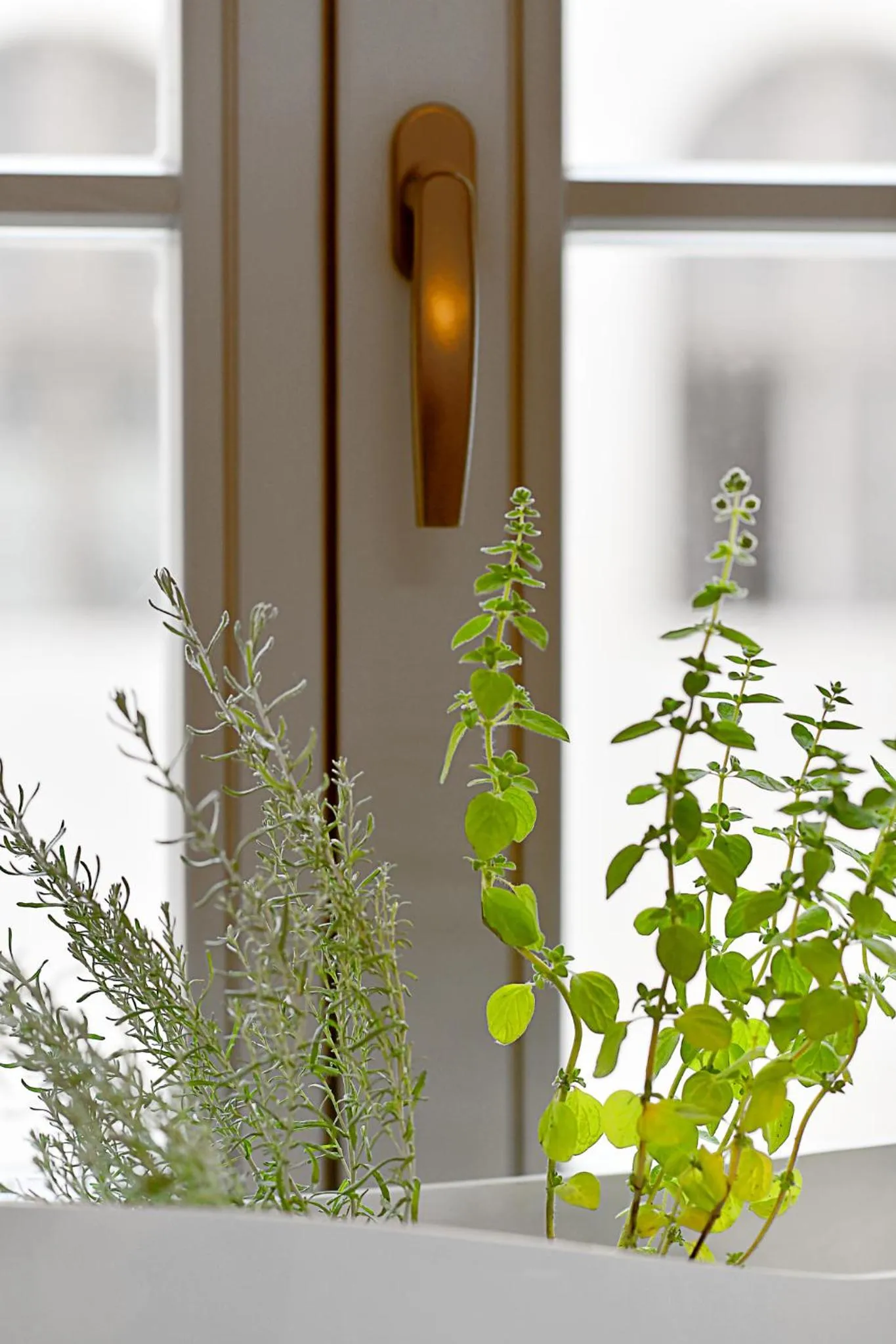 View (from property/room) in Herbal Hotel Wrocław