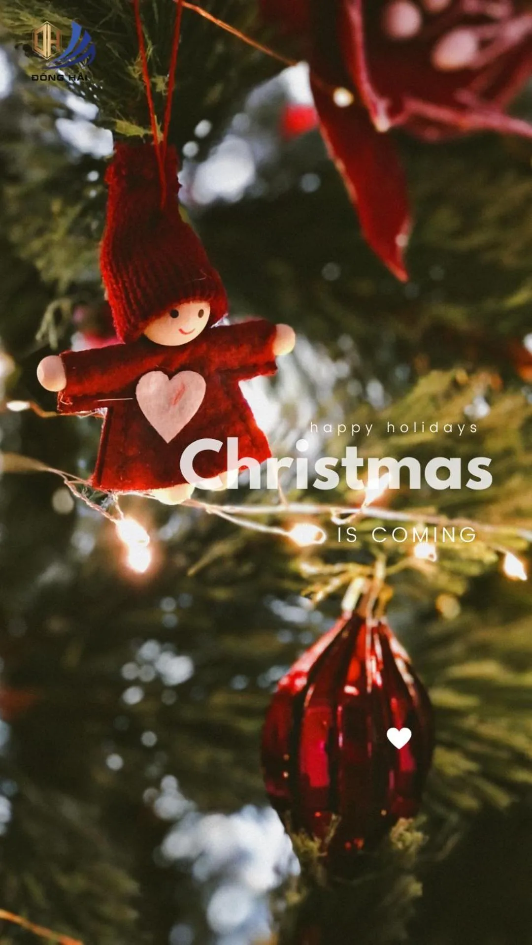 Lobby or reception in Dong Hai Hotel _ Rach Gia